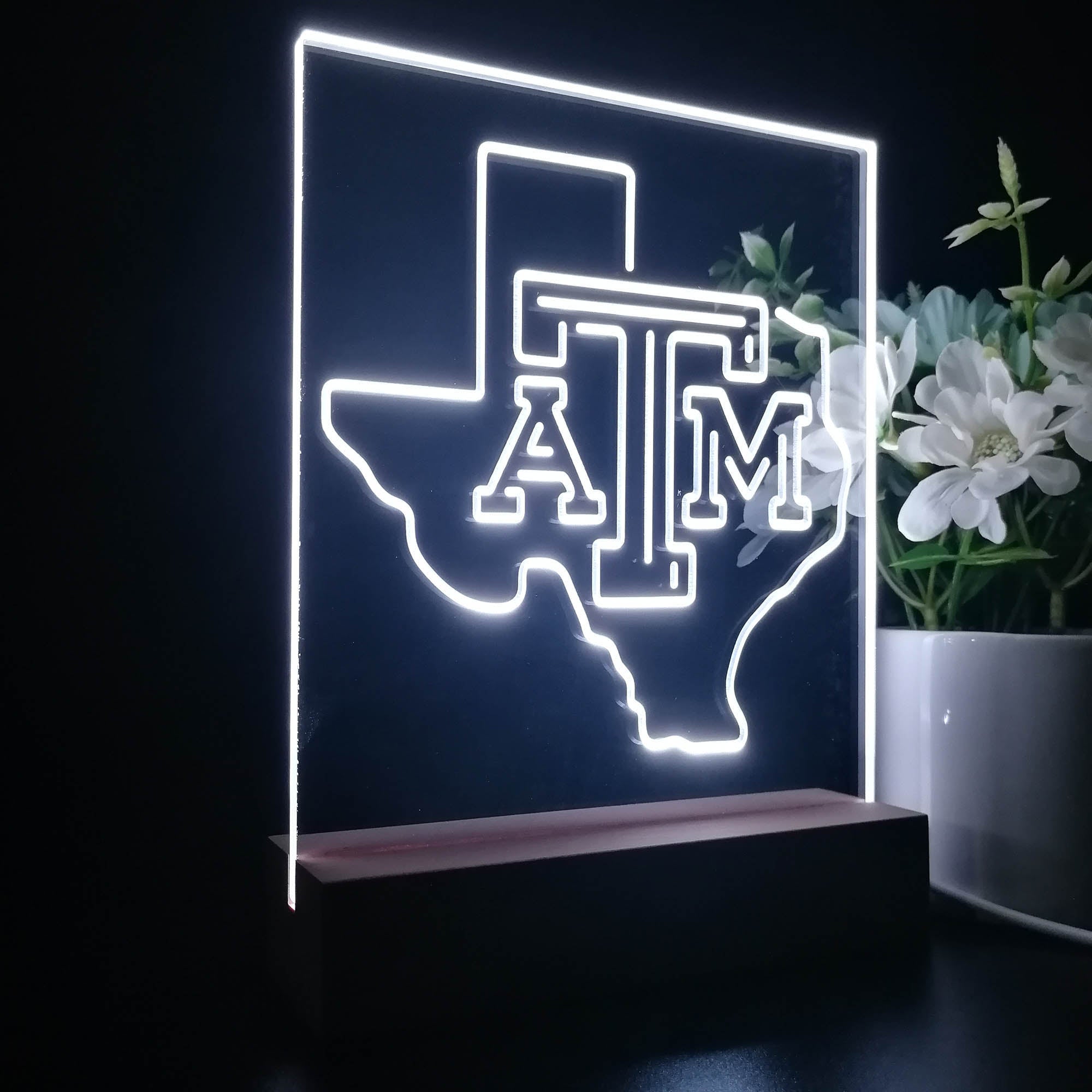 Texas A&M Aggies 3D LED Illusion Sport Team Night Light