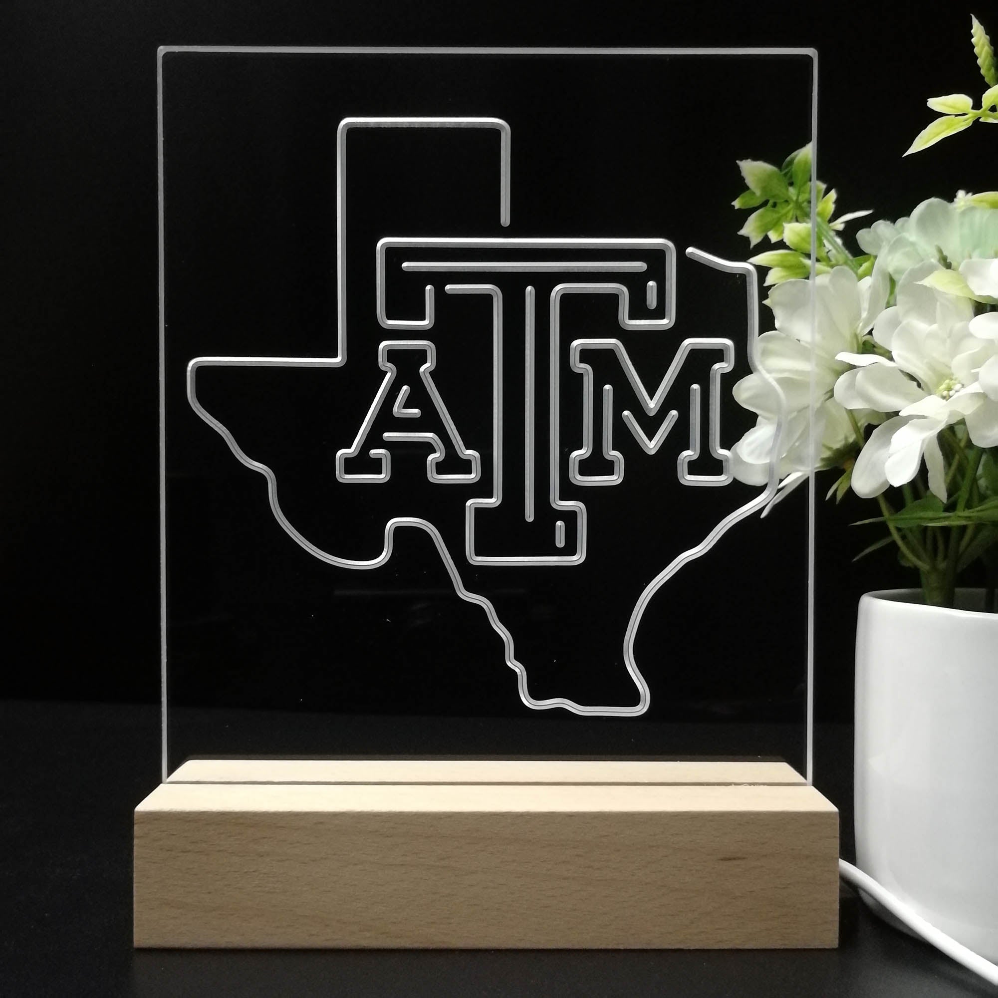 Texas A&M Aggies 3D LED Illusion Sport Team Night Light