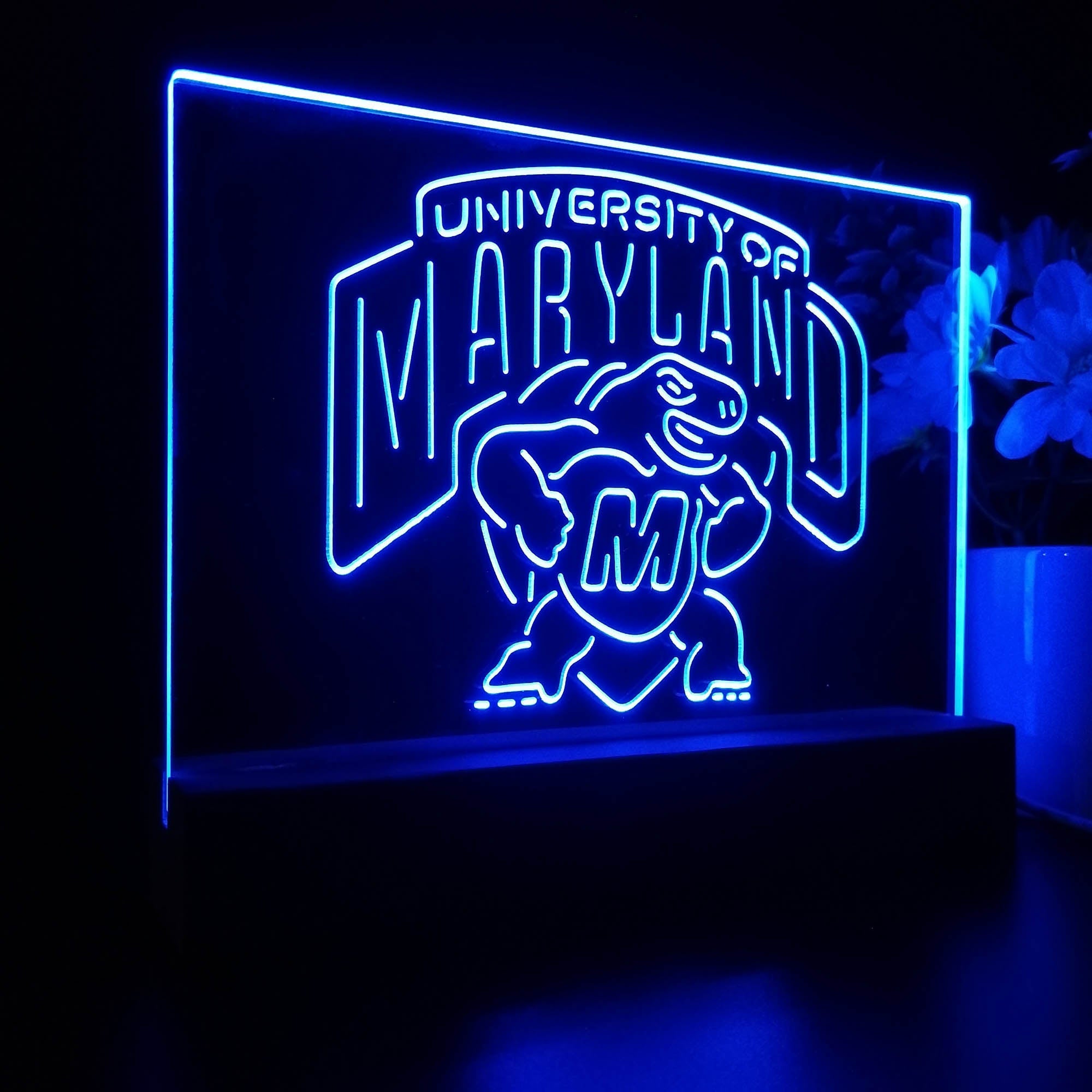 University of Maryland Terrapins 3D LED Illusion Sport Team Night Light