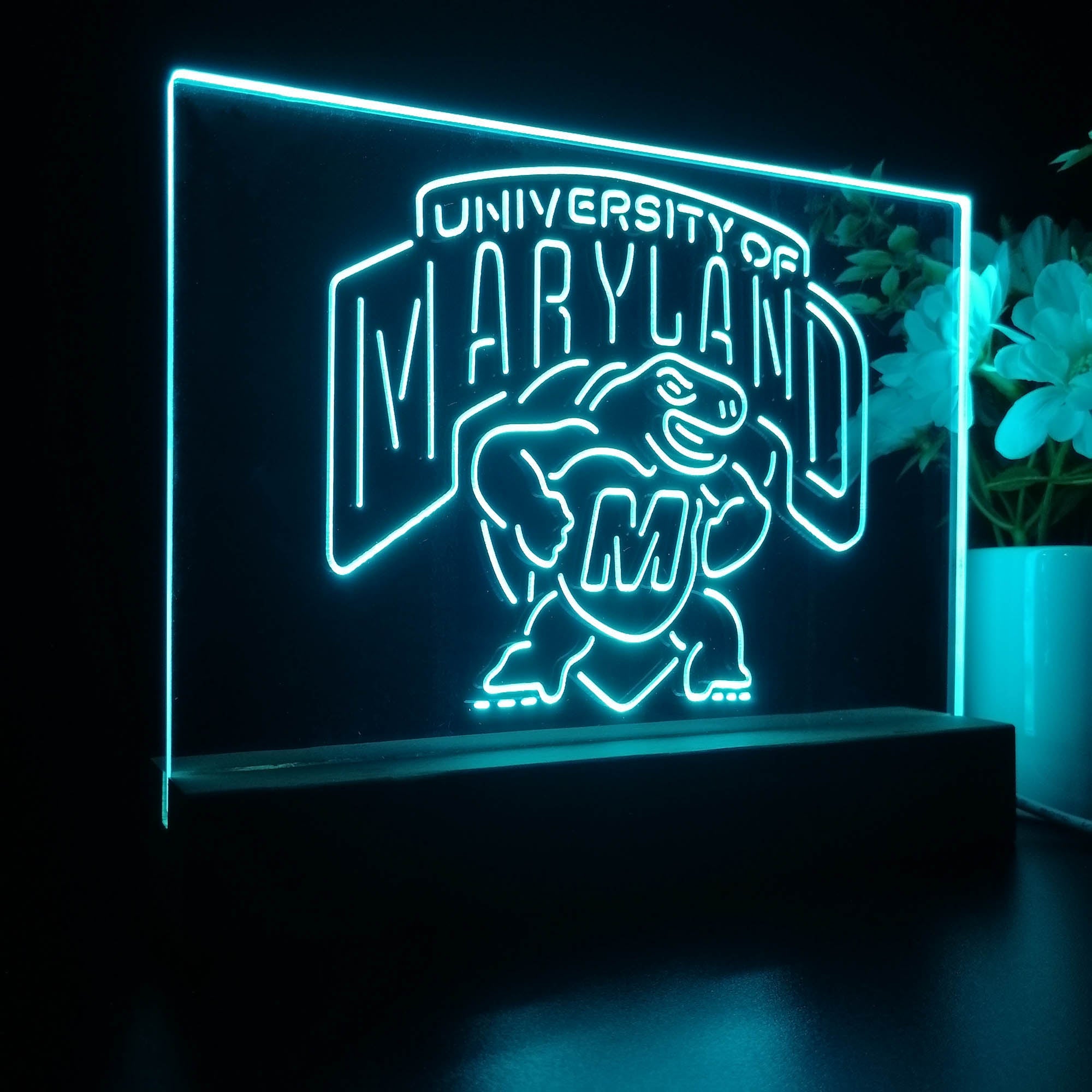 University of Maryland Terrapins 3D LED Illusion Sport Team Night Light