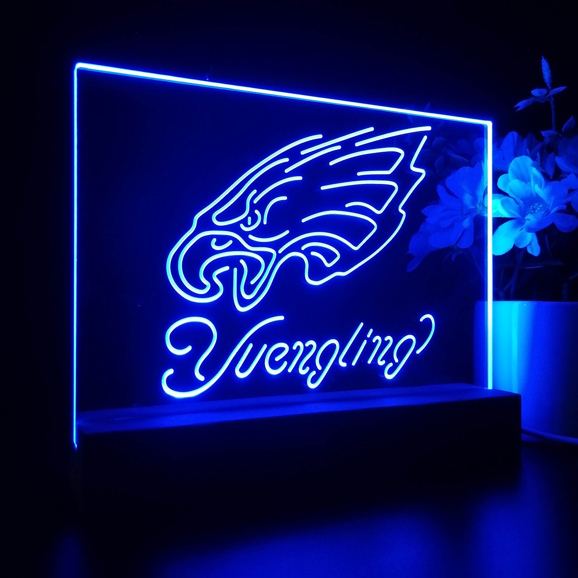 Yuengling Philadelphia Eagle 3D LED Illusion Sport Team Night Light
