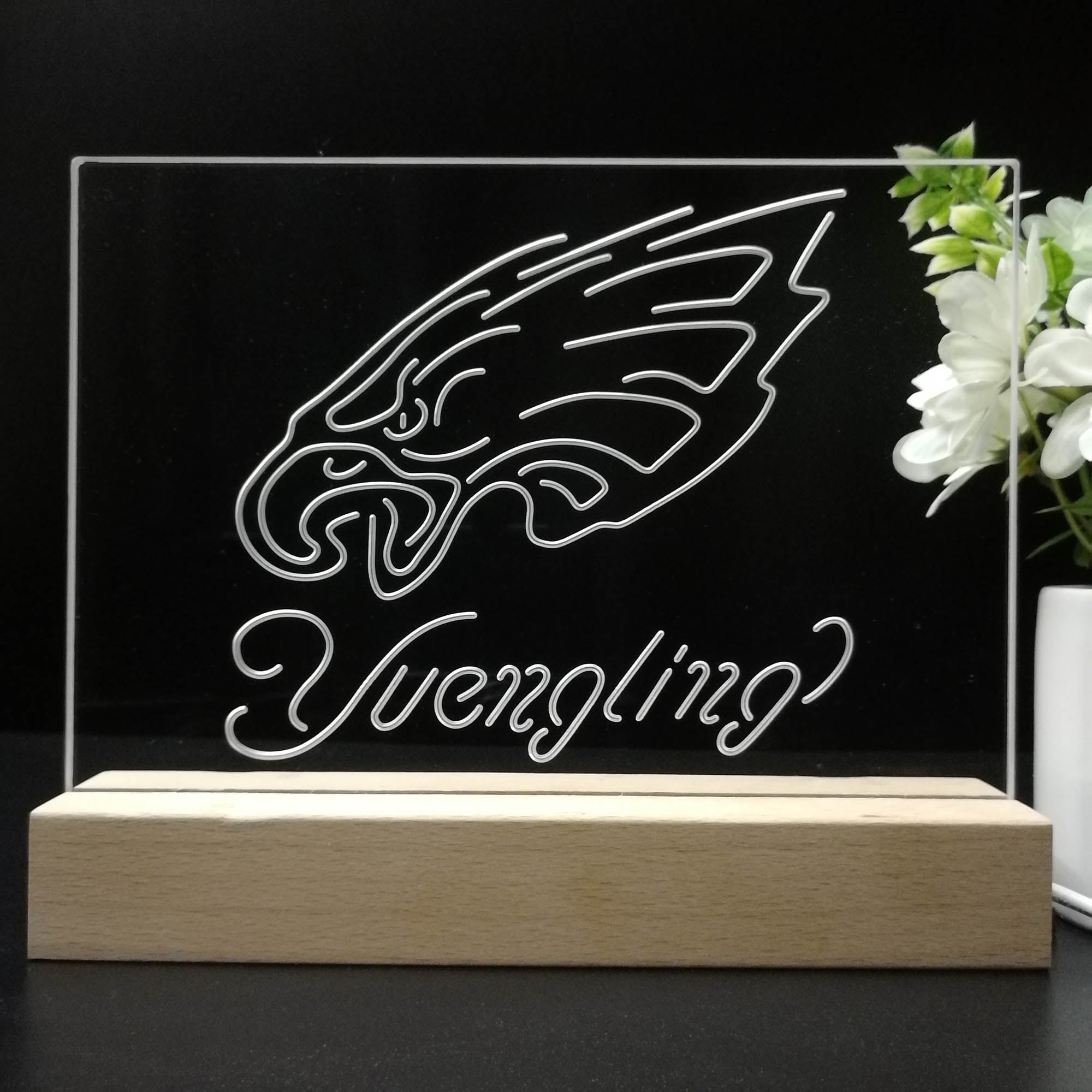 Yuengling Philadelphia Eagle 3D LED Illusion Sport Team Night Light