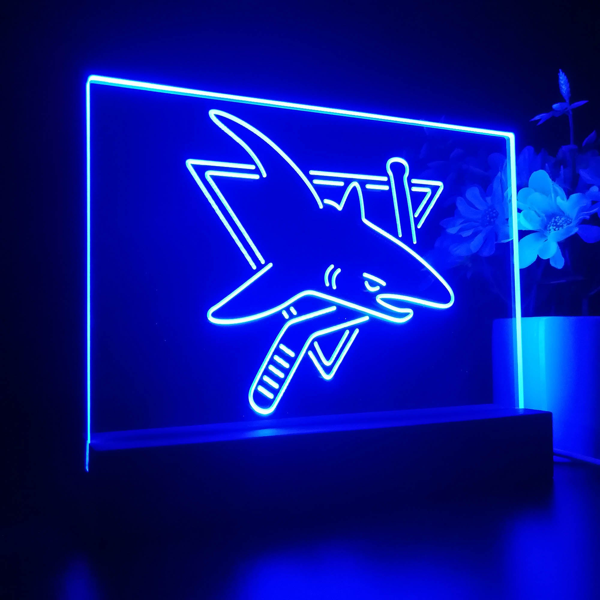 SJS Hockey 3D LED Illusion Sport Team Night Light