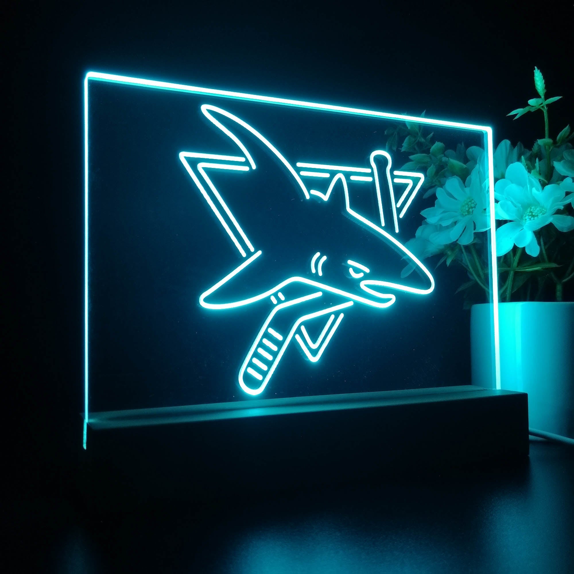 SJS Hockey 3D LED Illusion Sport Team Night Light