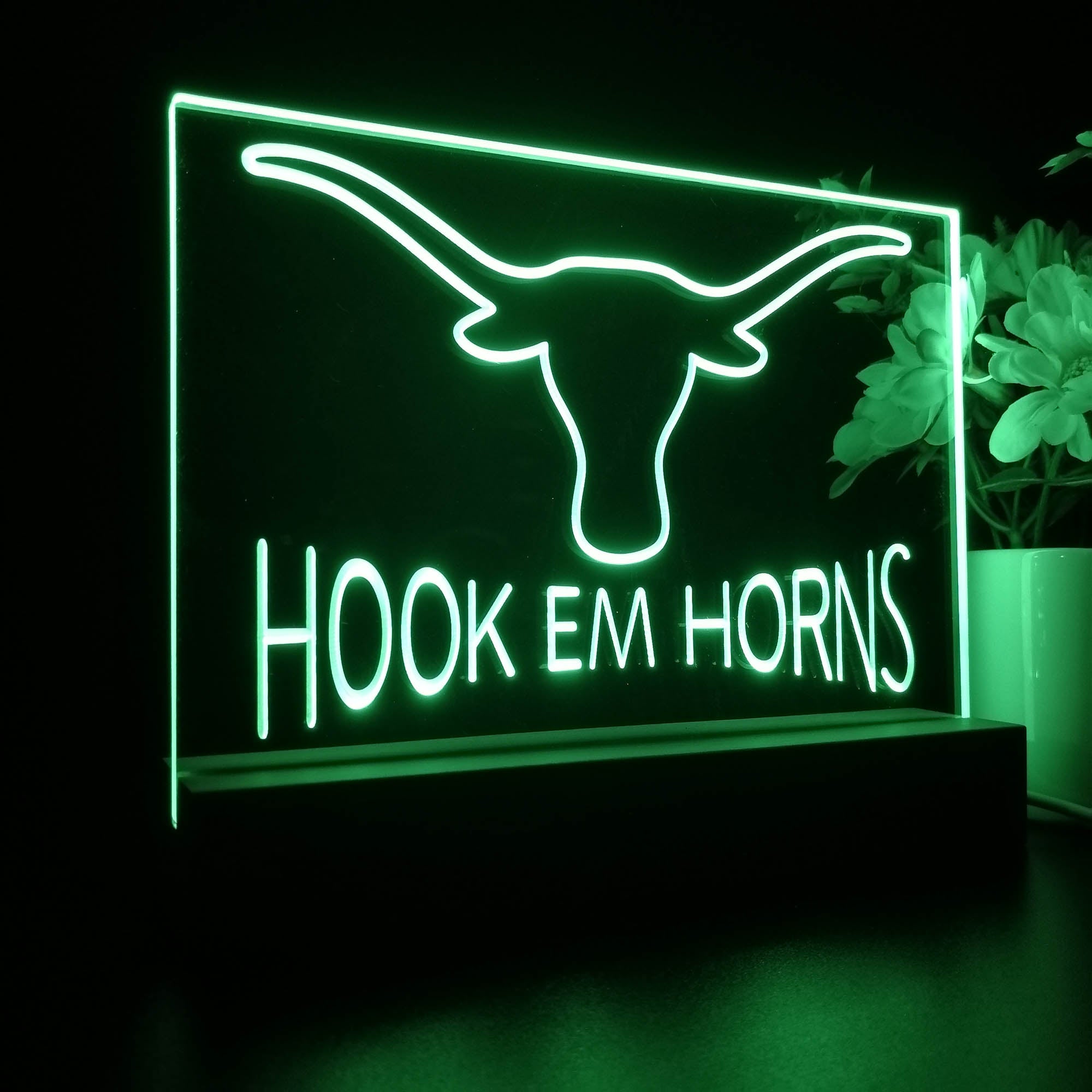 Hook Em Horns University of Texas 3D LED Illusion Sport Team Night Light