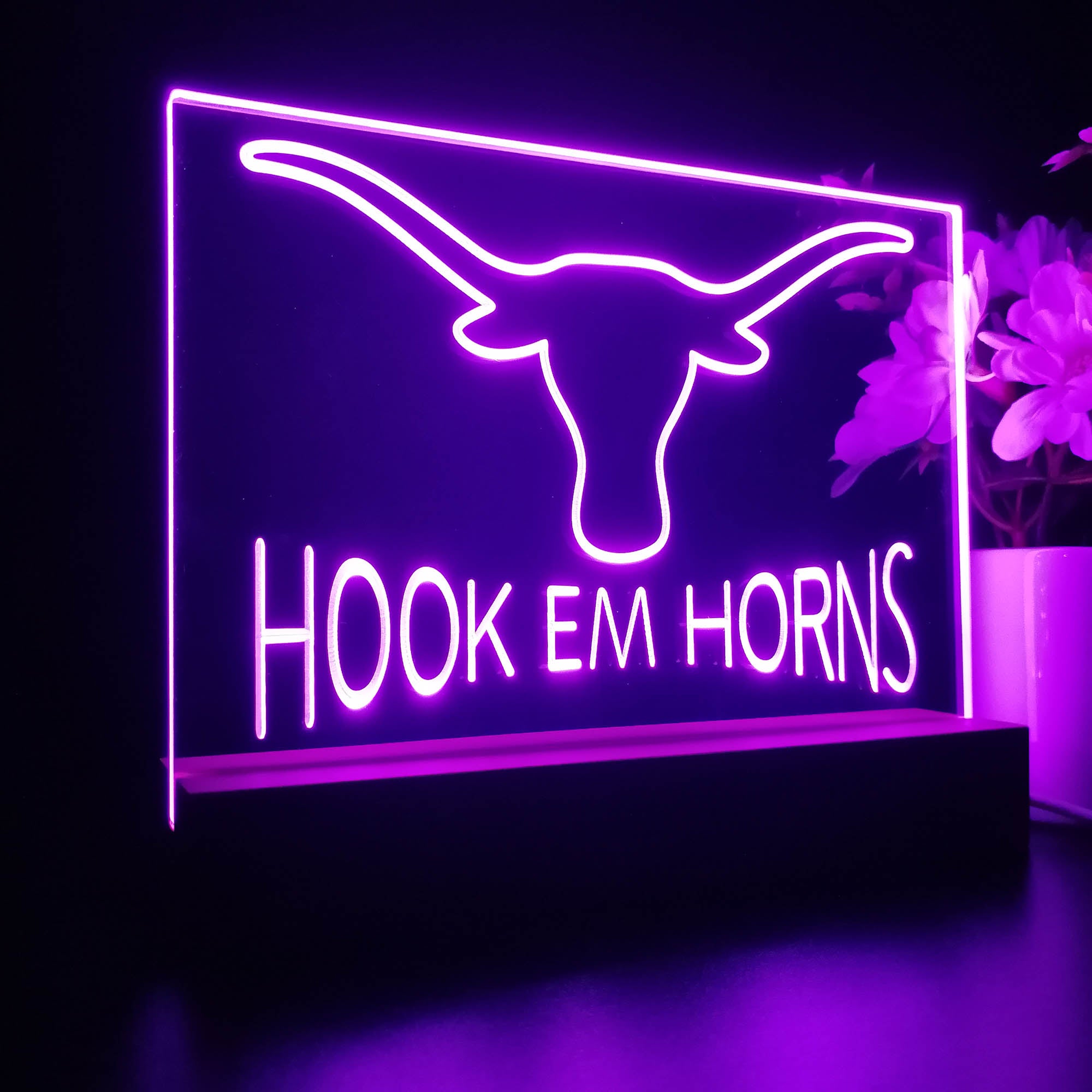 Hook Em Horns University of Texas 3D LED Illusion Sport Team Night Light