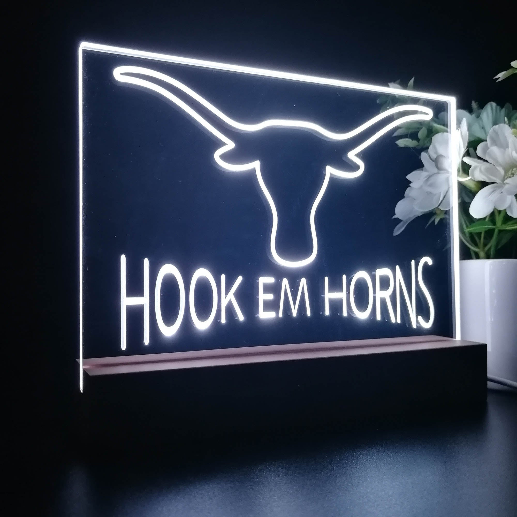 Hook Em Horns University of Texas 3D LED Optical Illusion Sport Team Night Light