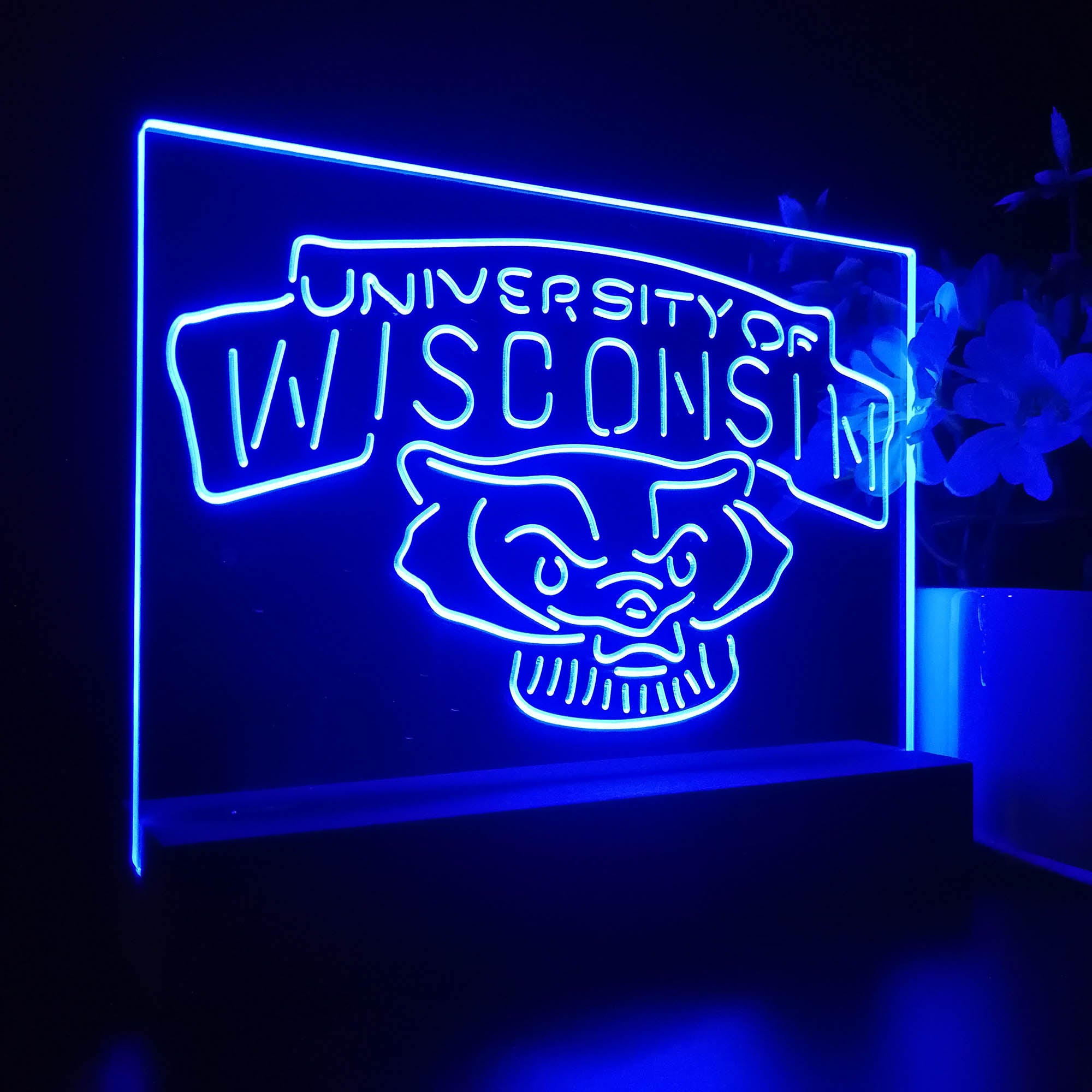 Wisconsin Badgers 3D LED Optical Illusion Sport Team Night Light
