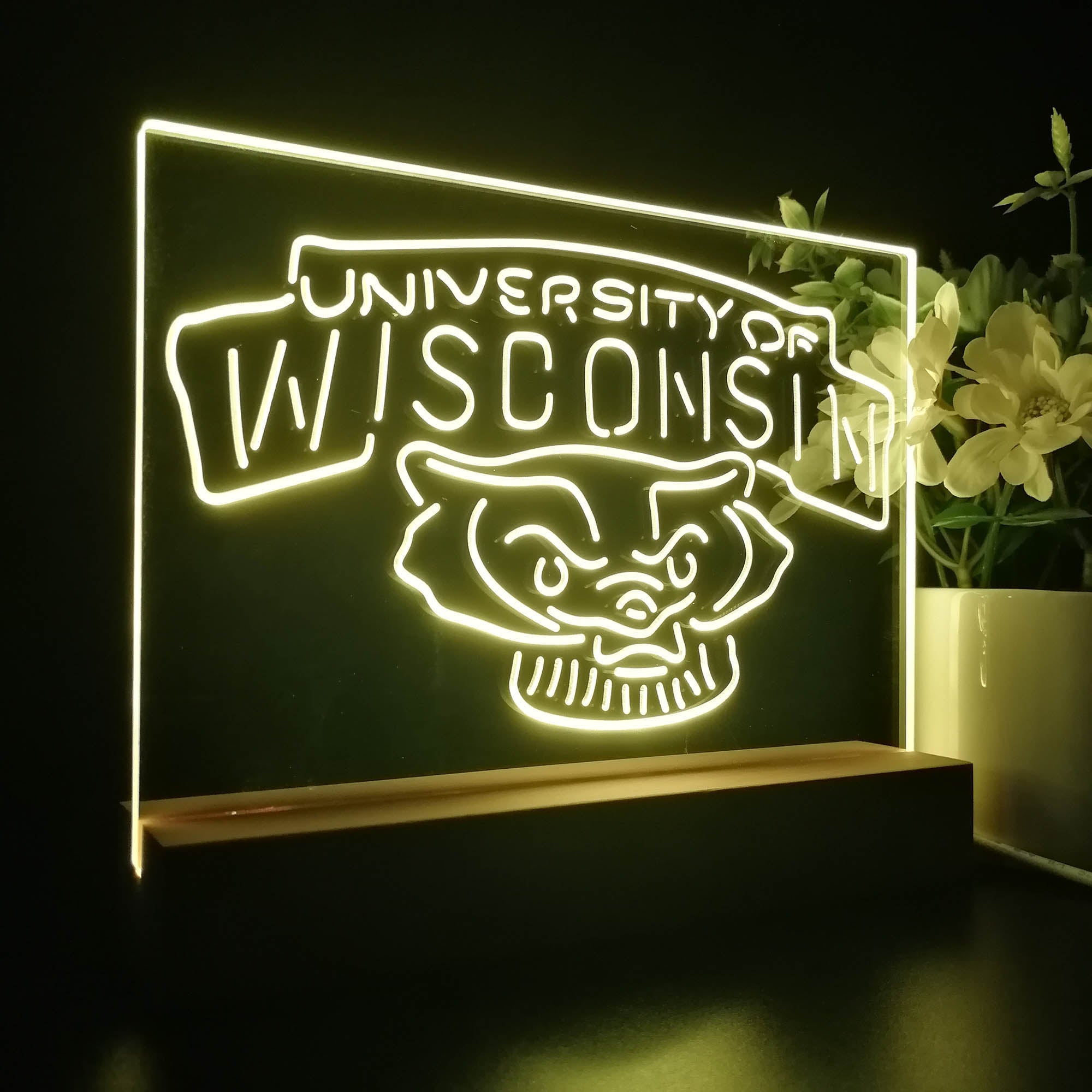 Wisconsin Badgers 3D LED Optical Illusion Sport Team Night Light