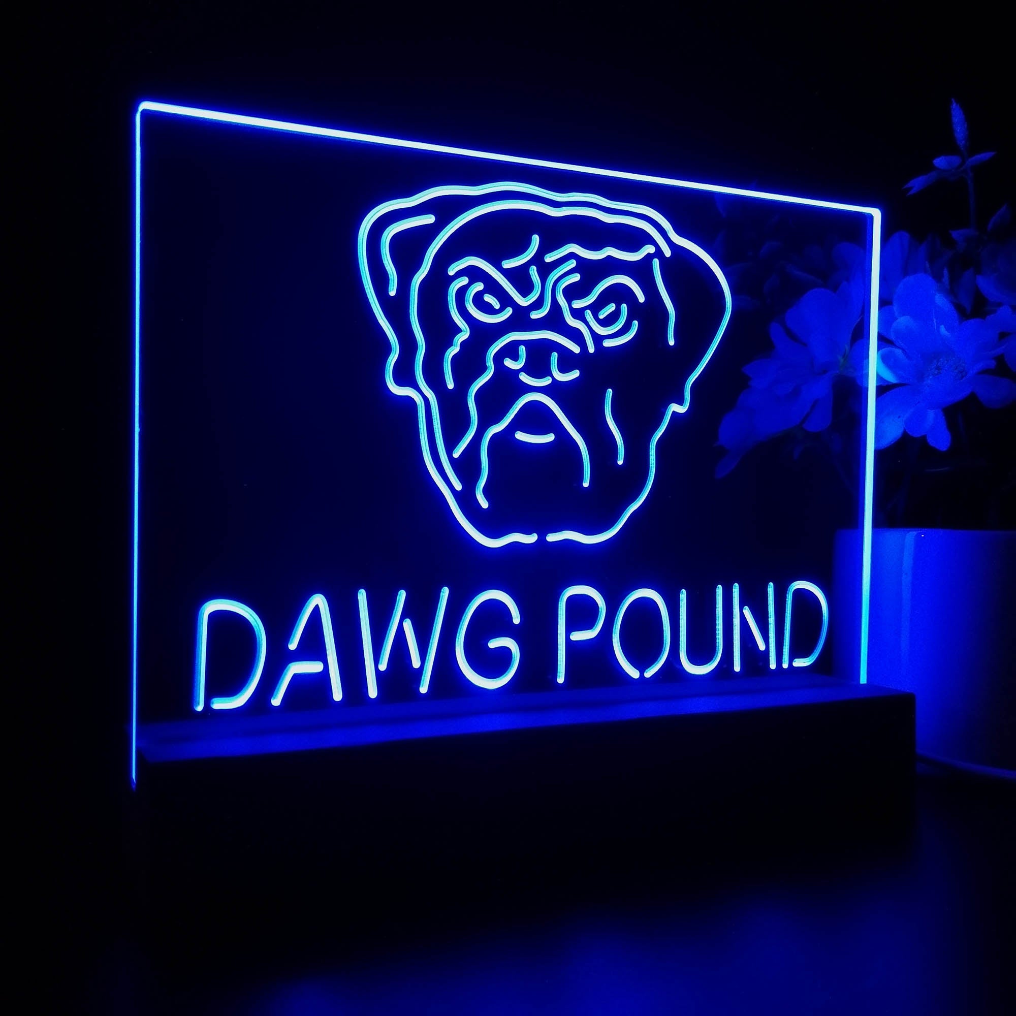 Dawg Pound Cleveland 3D LED Illusion Sport Team Night Light