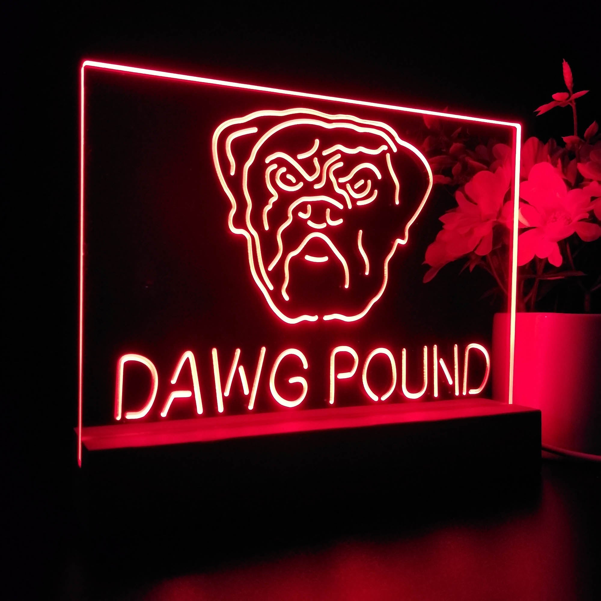 Dawg Pound Cleveland 3D LED Illusion Sport Team Night Light