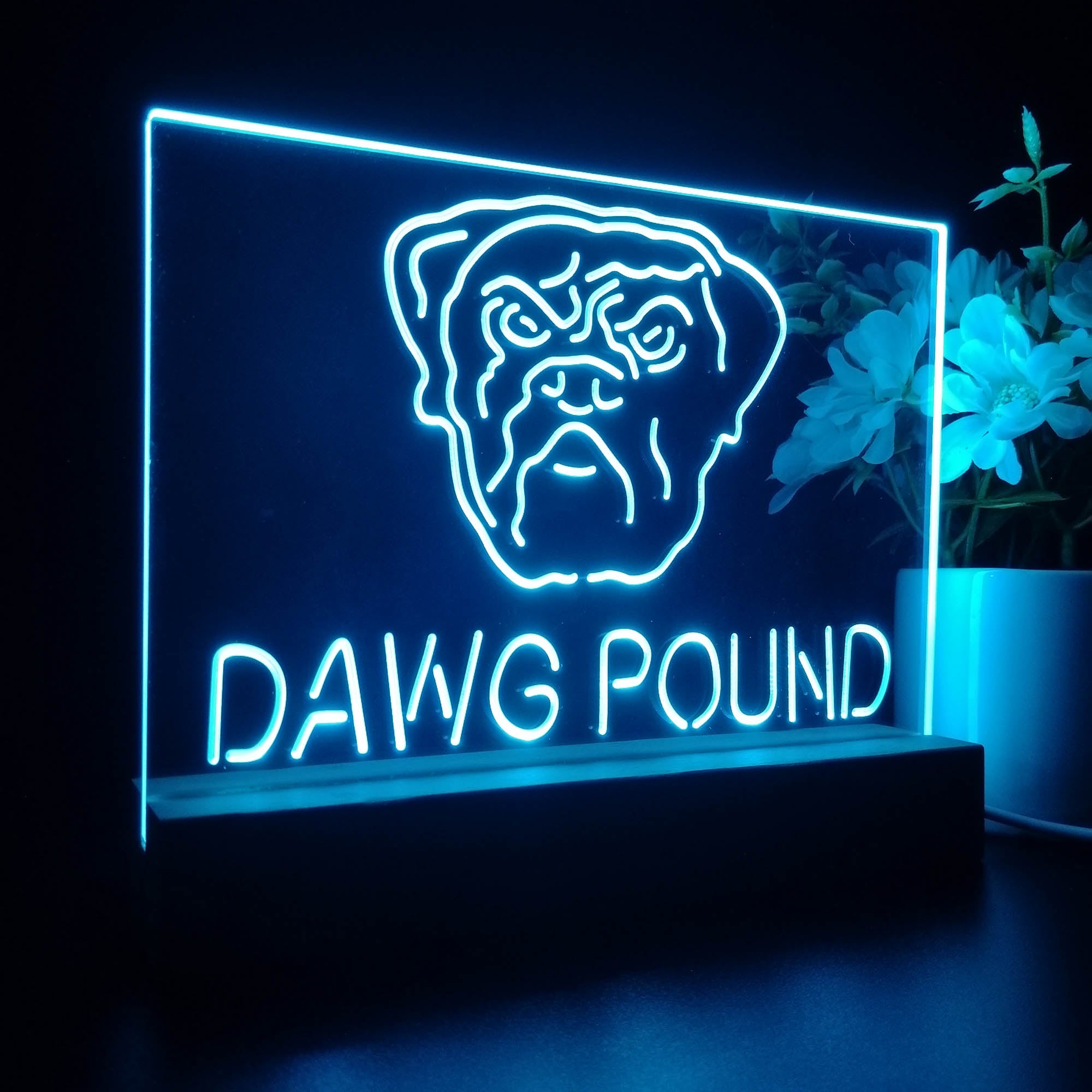 Dawg Pound Cleveland 3D LED Illusion Sport Team Night Light