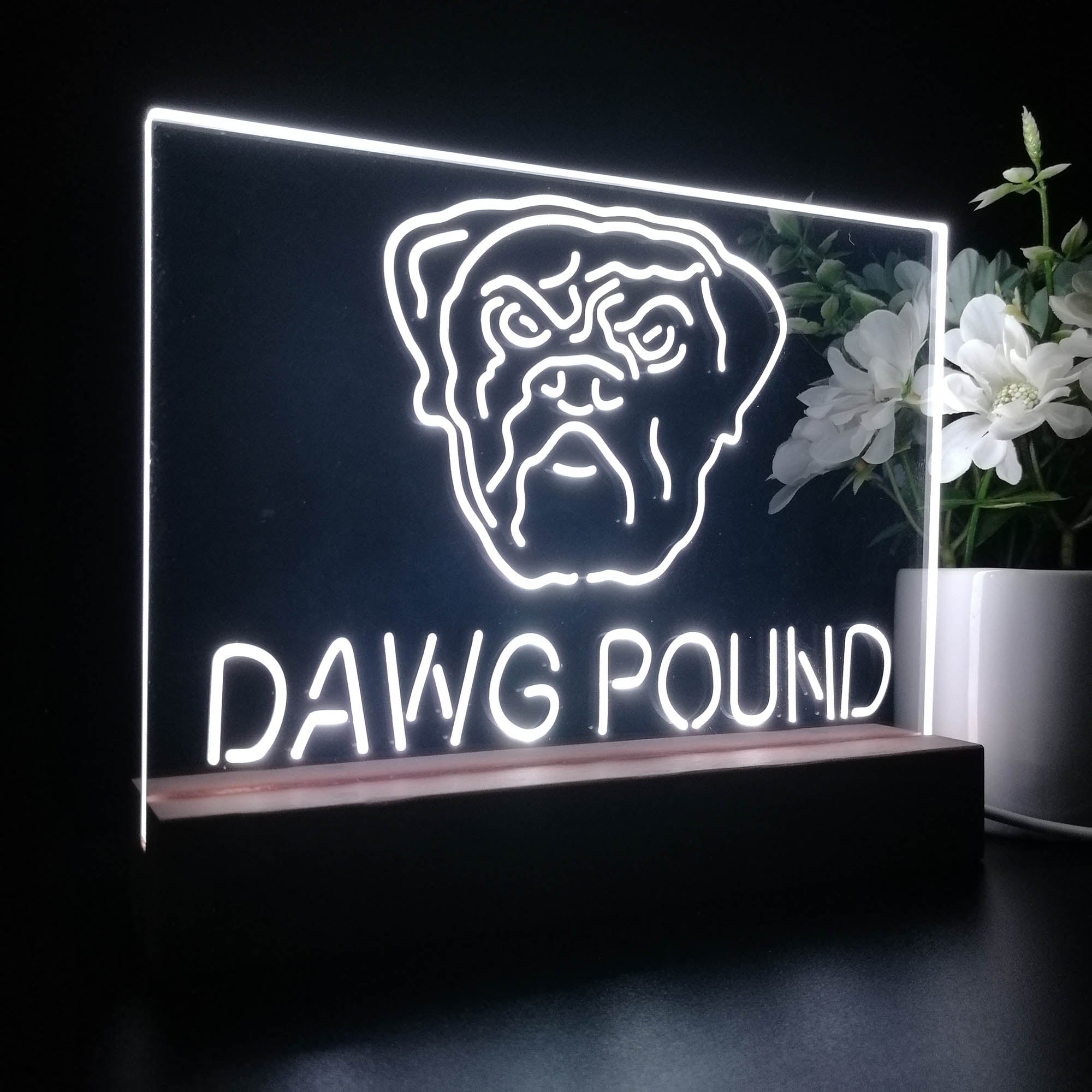 Dawg Pound Cleveland 3D LED Illusion Sport Team Night Light