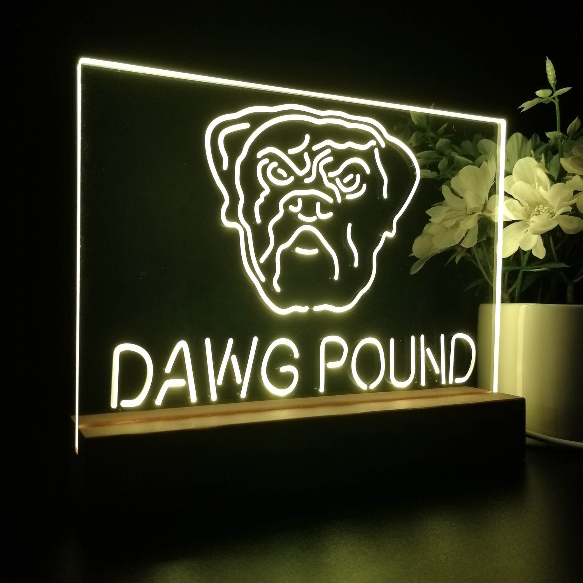 Dawg Pound Cleveland 3D LED Illusion Sport Team Night Light