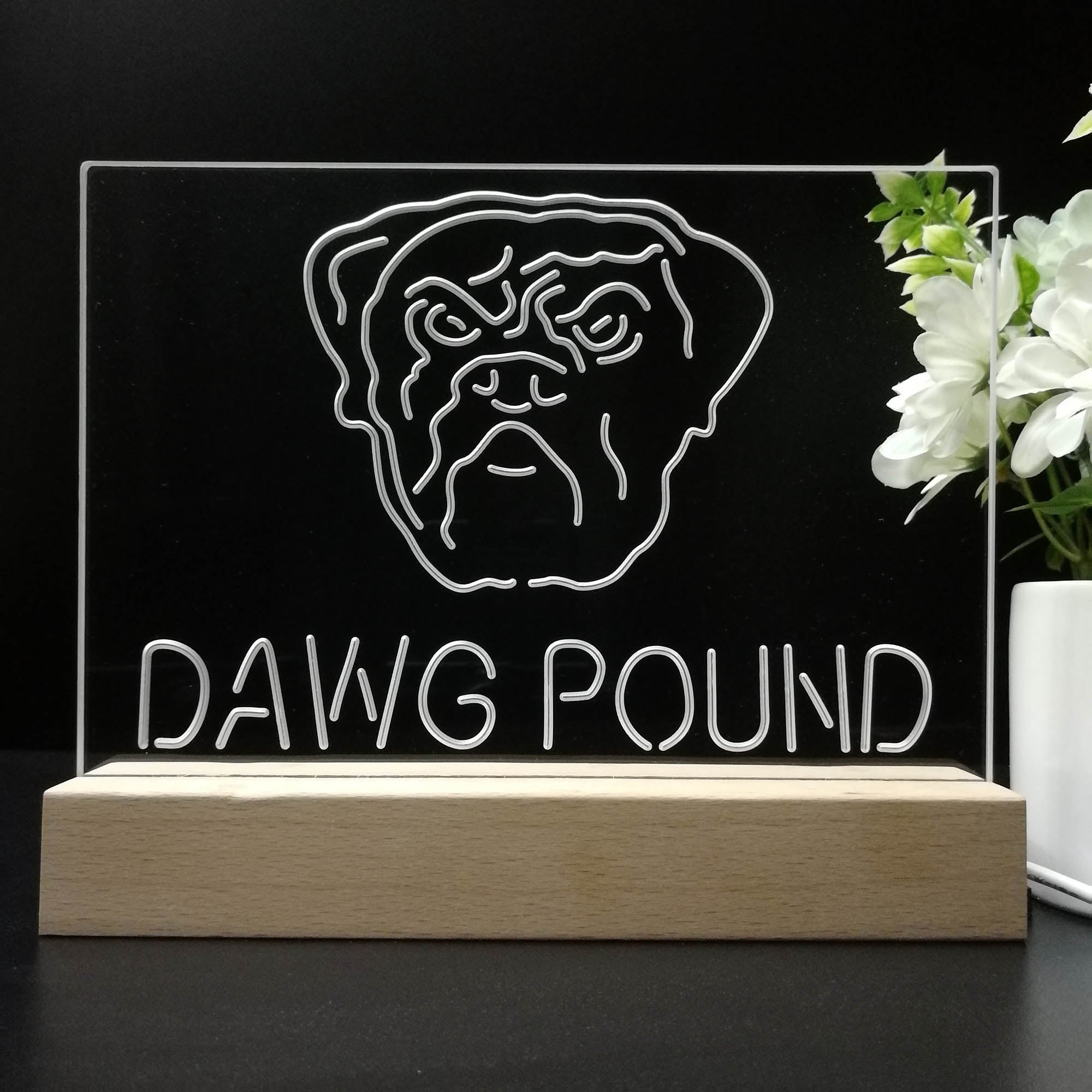 Dawg Pound Cleveland 3D LED Illusion Sport Team Night Light