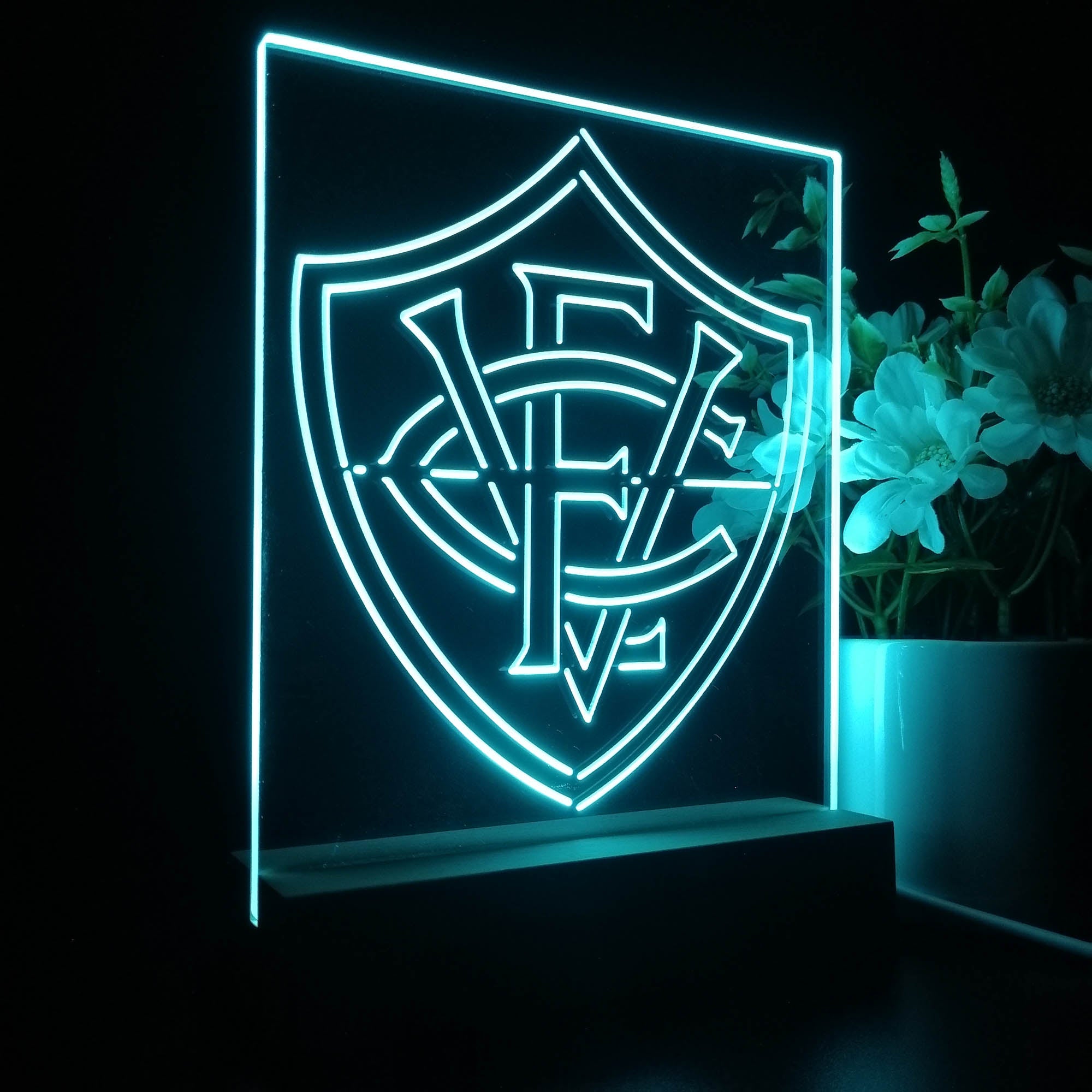 Esporte Clube Vit¨®ria 3D LED Illusion Sport Team Night Light