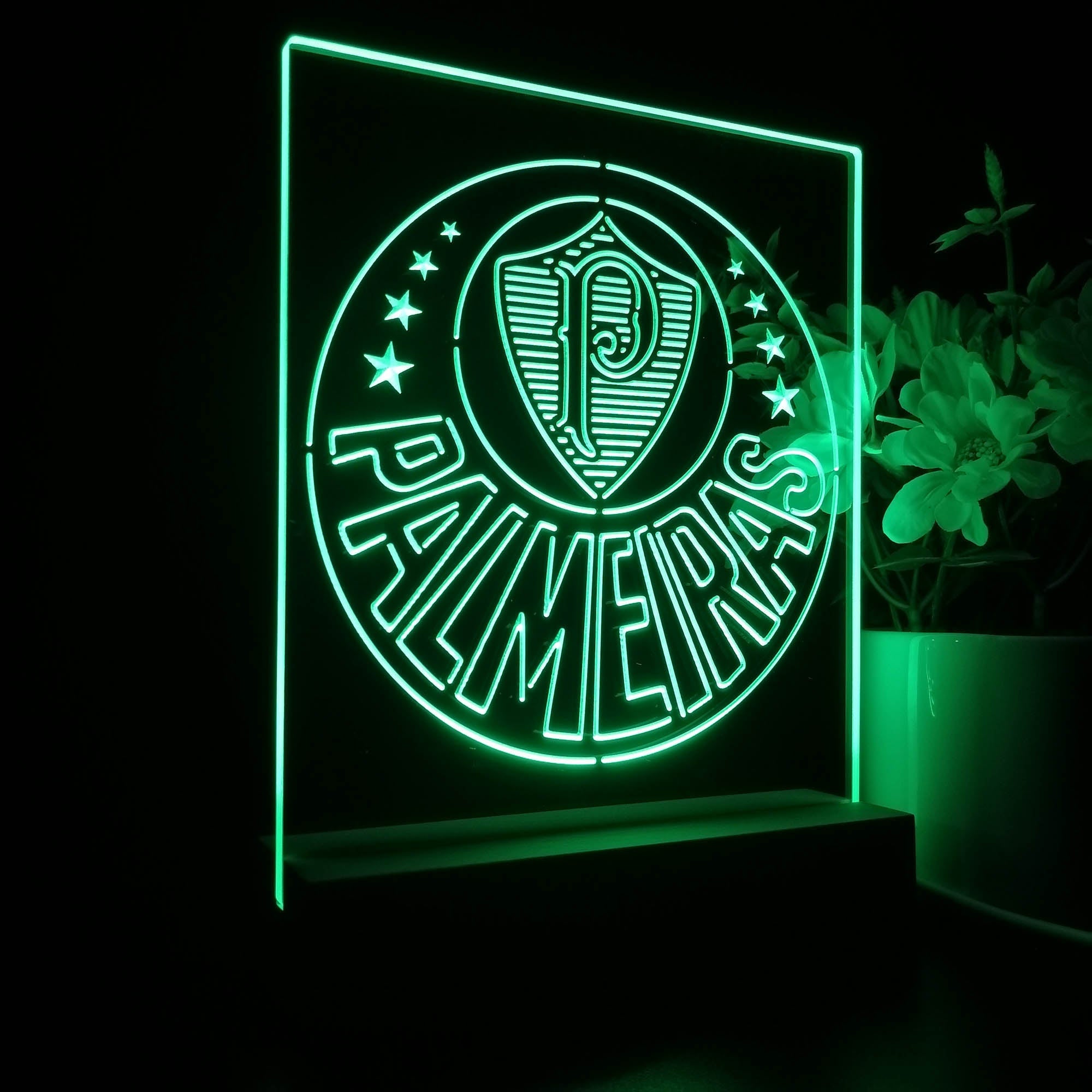 Palmeiras Club 3D LED Optical Illusion Sport Team Night Light