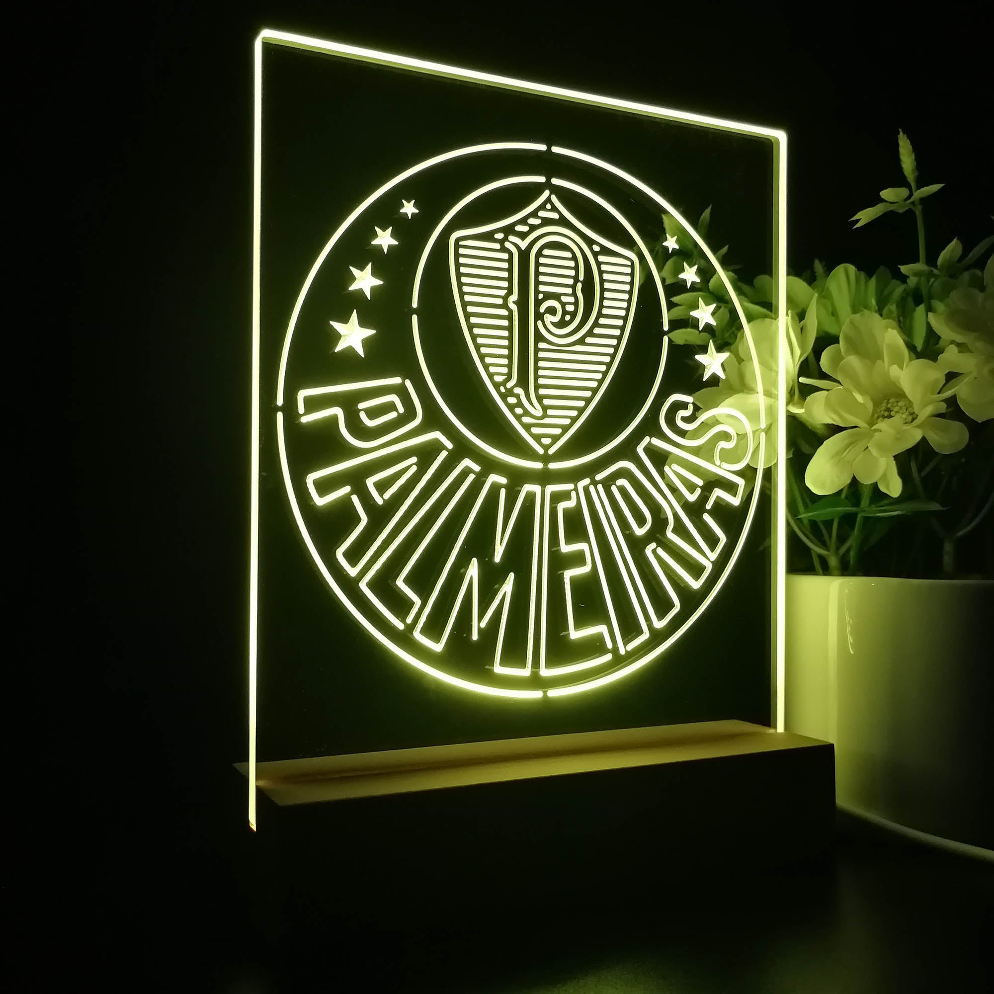 Palmeiras Club 3D LED Optical Illusion Sport Team Night Light