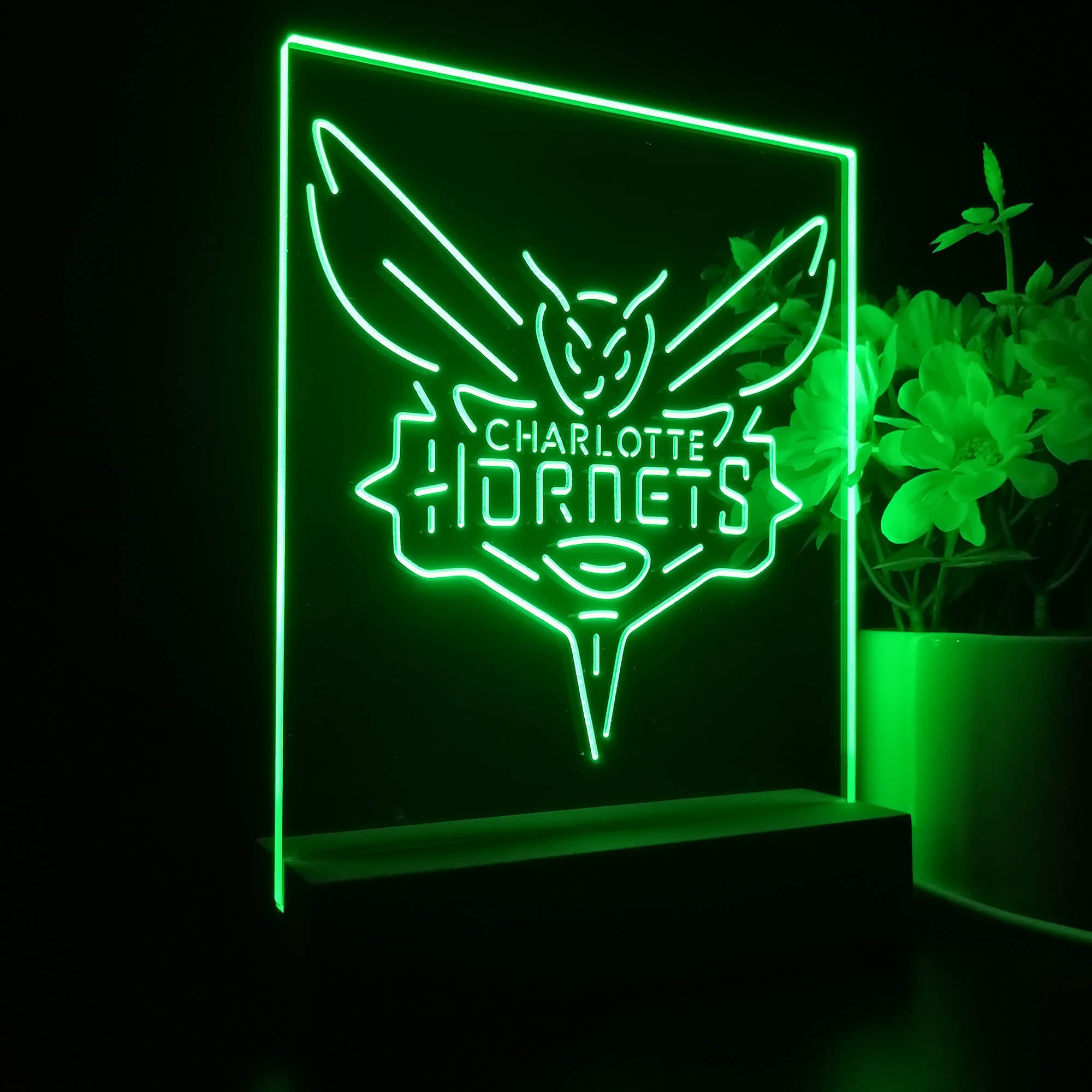 Charlotte Hornets 3D LED Optical Illusion Sport Team Night Light
