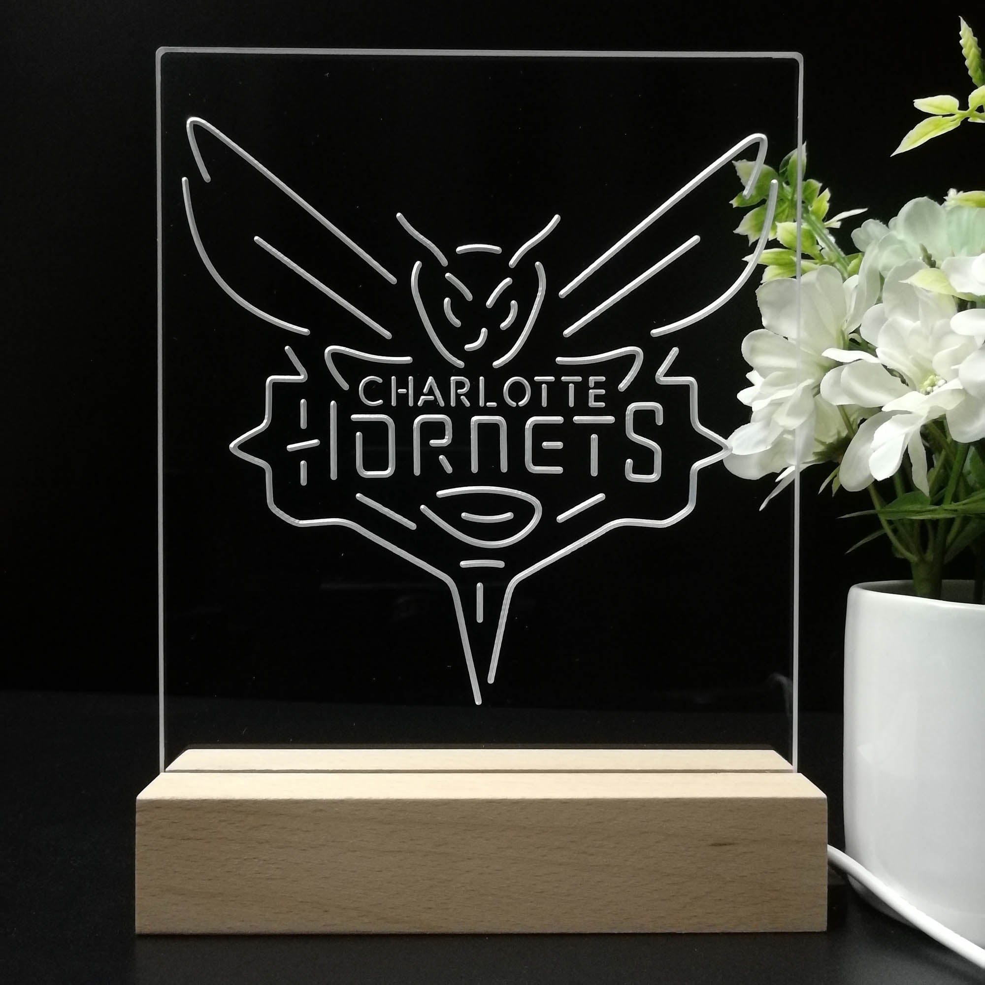 Charlotte Hornets 3D LED Optical Illusion Sport Team Night Light