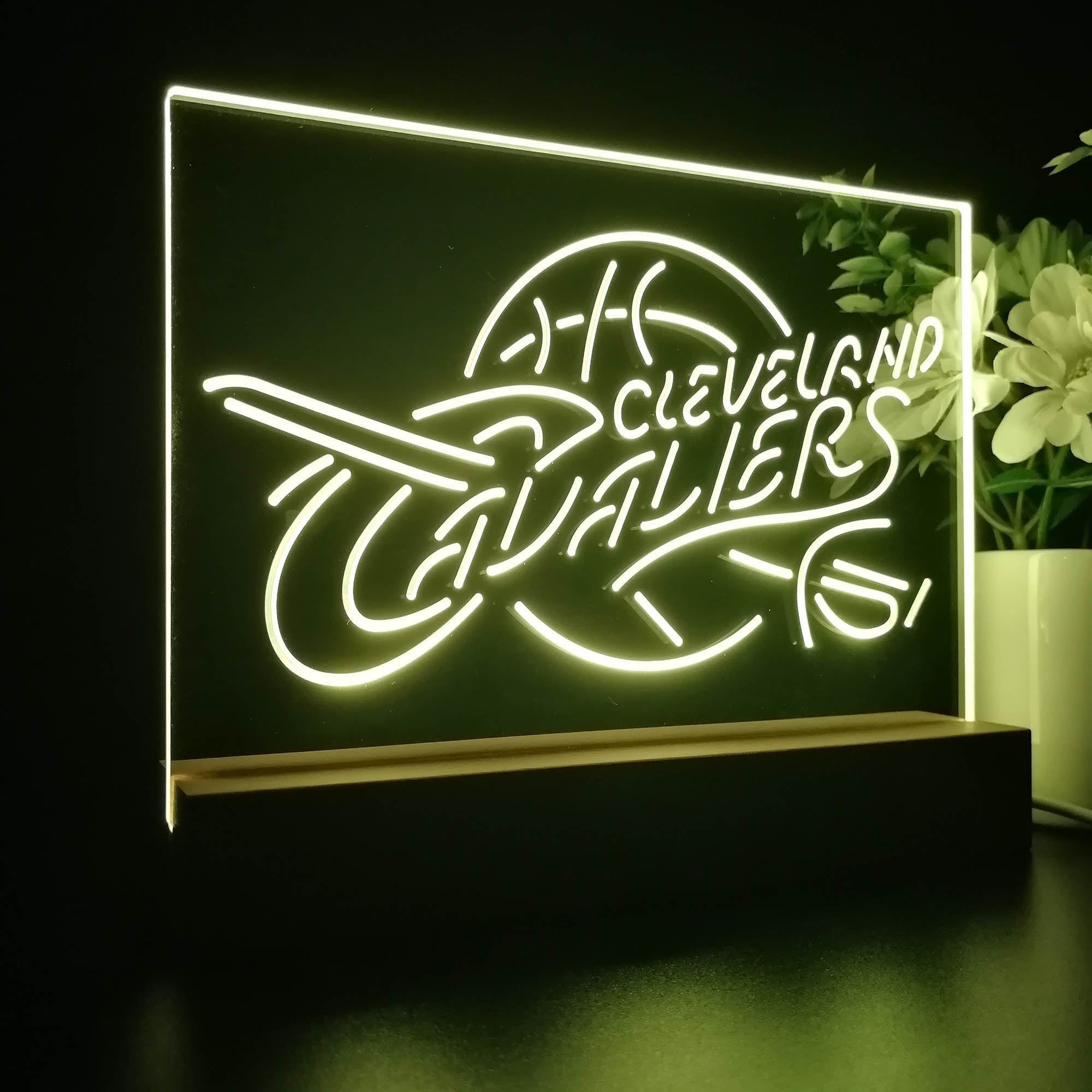 Cleveland Cavaliers 3D LED Illusion Sport Team Night Light