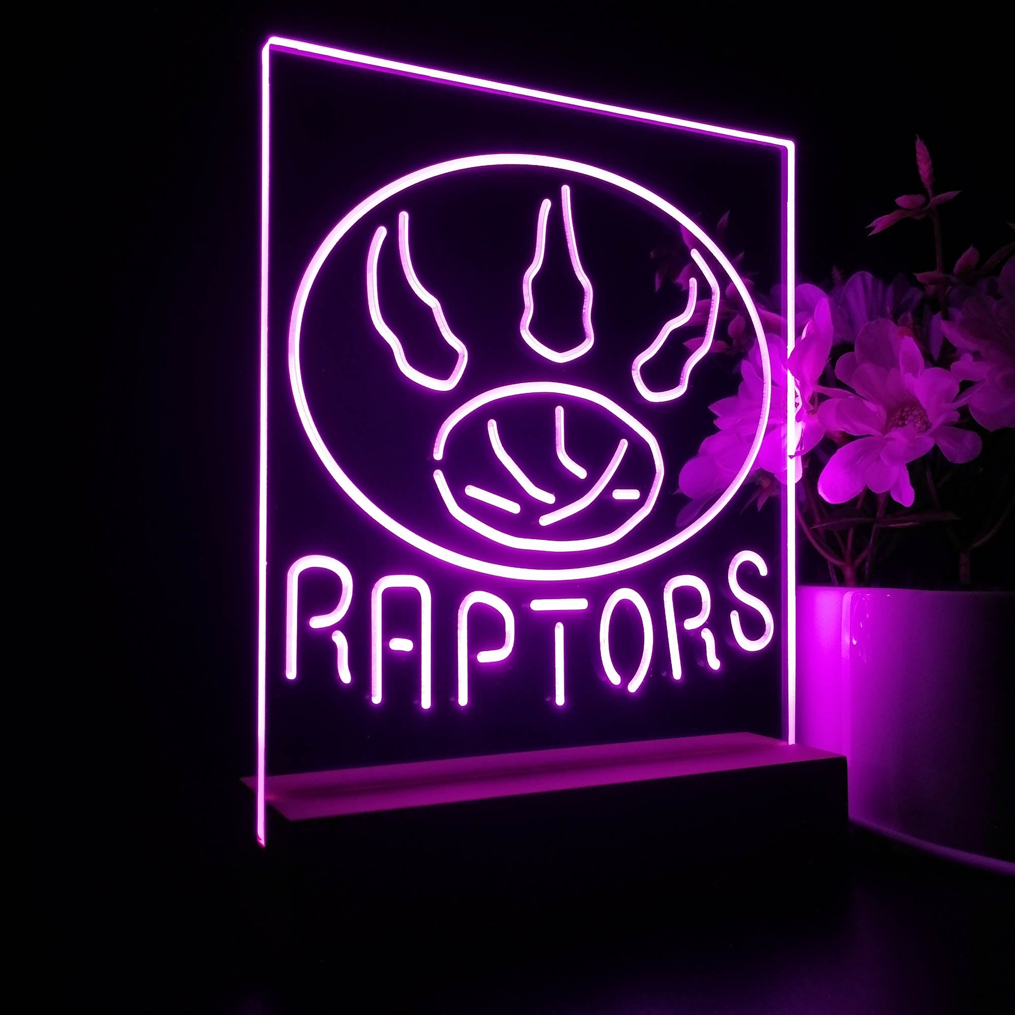 Toronto Raptors 3D LED Illusion Sport Team Night Light