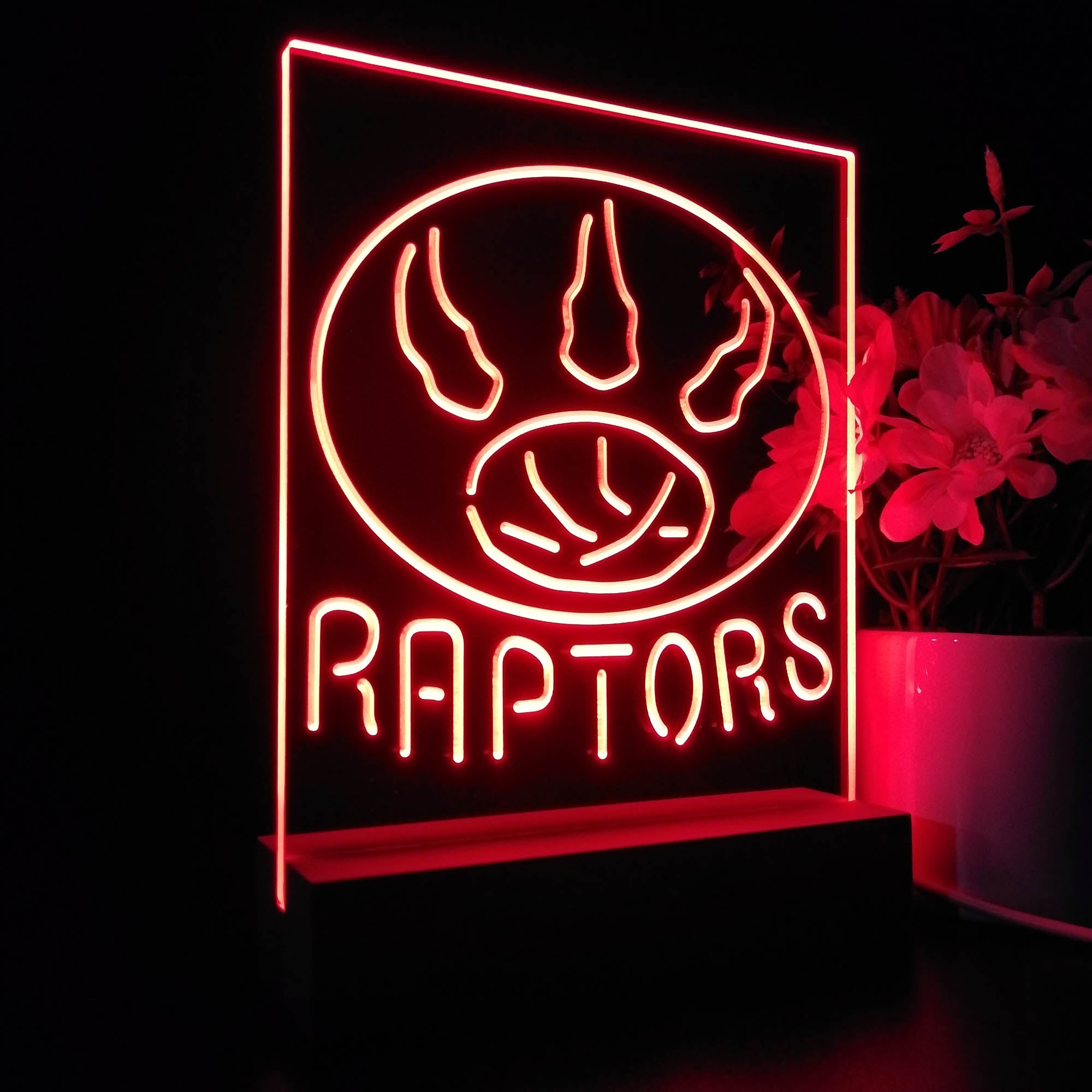 Toronto Raptors 3D LED Illusion Sport Team Night Light