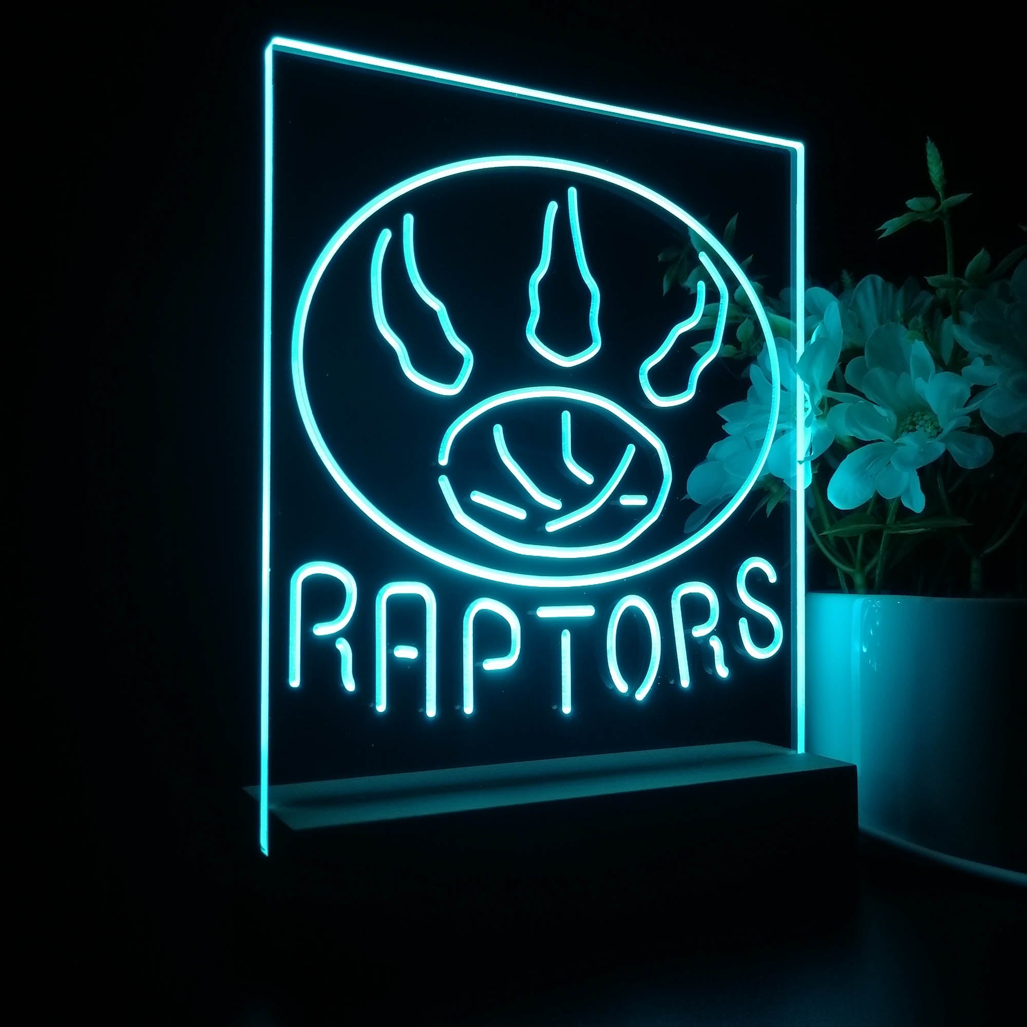 Toronto Raptors 3D LED Optical Illusion Sport Team Night Light