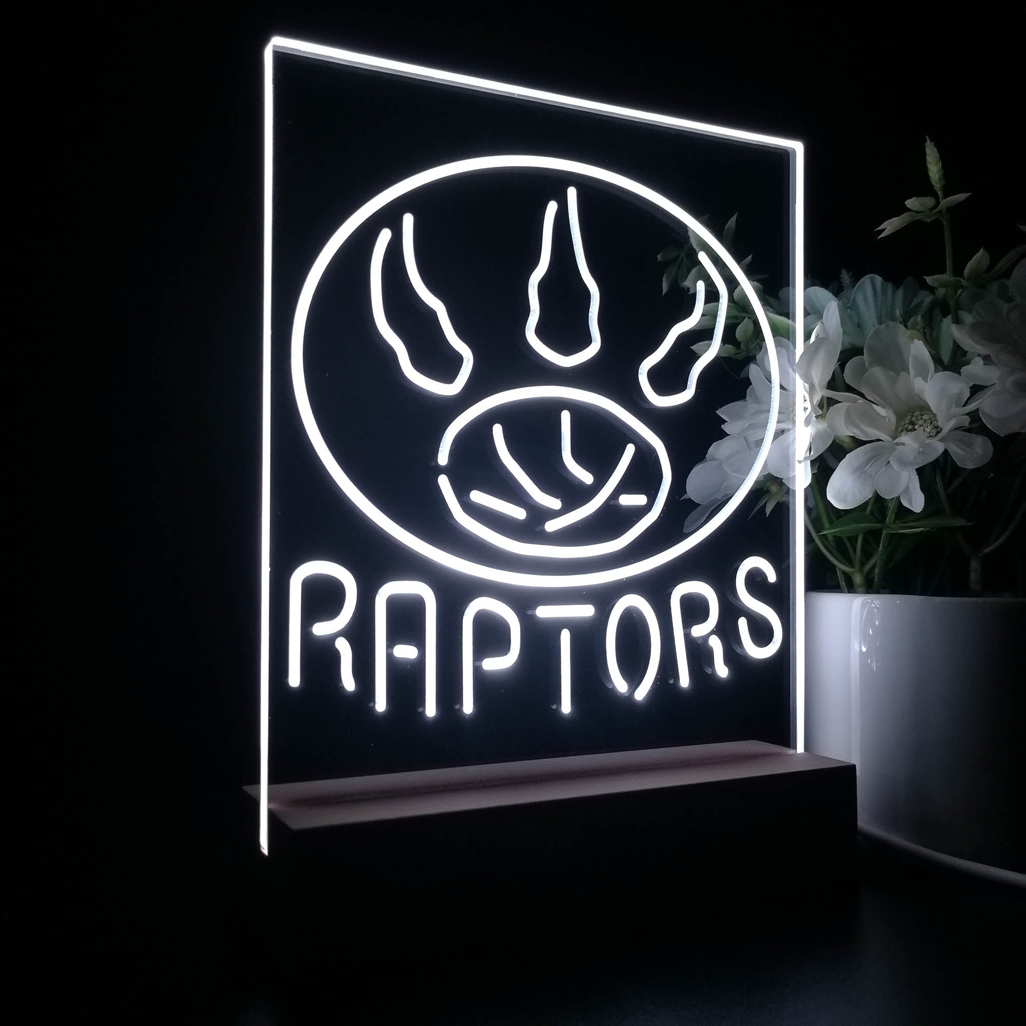 Toronto Raptors 3D LED Illusion Sport Team Night Light