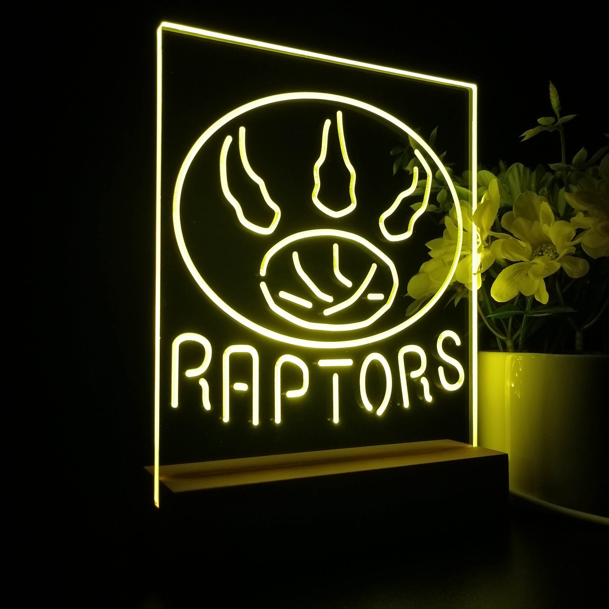 Toronto Raptors 3D LED Optical Illusion Sport Team Night Light