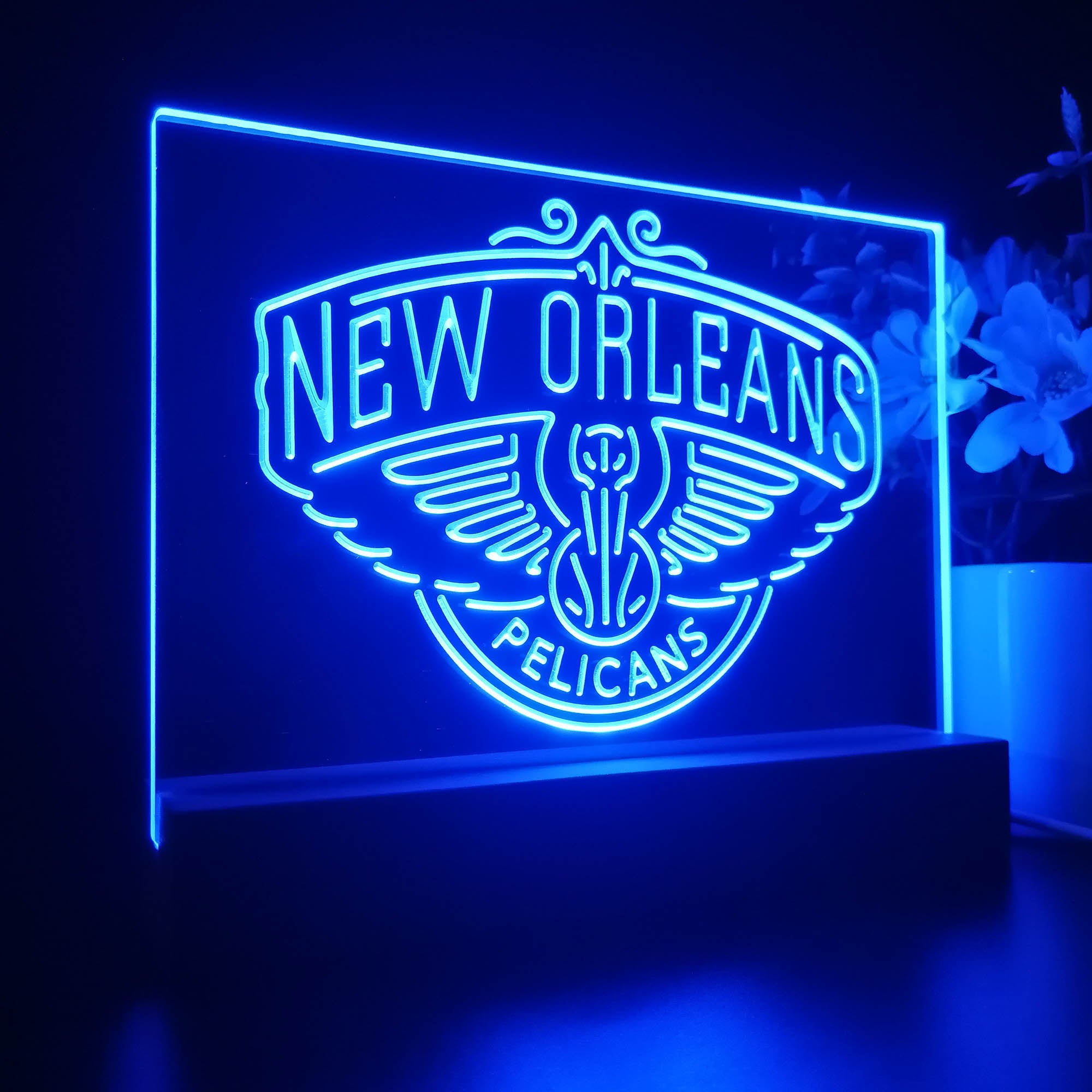 New Orleans Pelicans 3D LED Optical Illusion Sport Team Night Light
