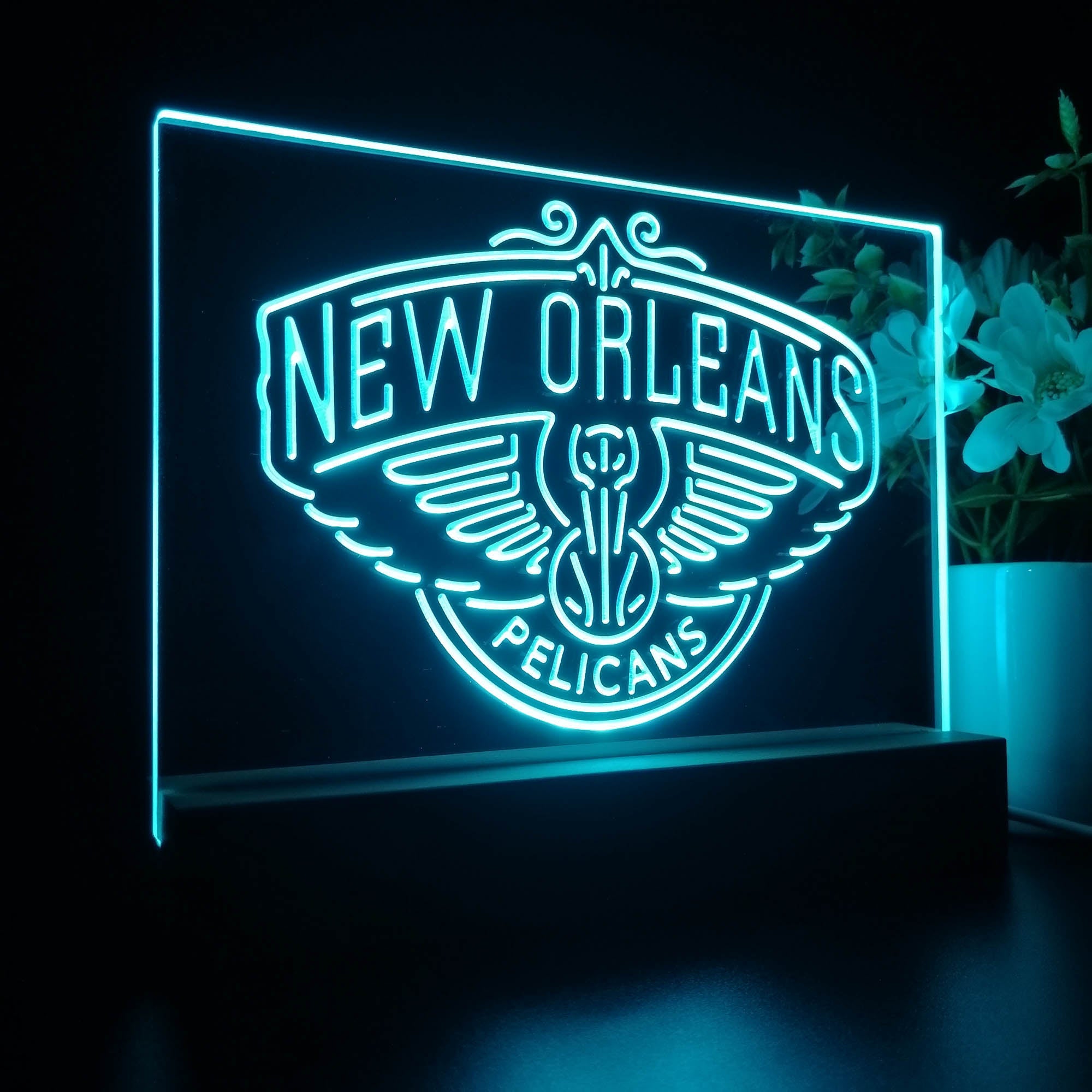 New Orleans Pelicans 3D LED Optical Illusion Sport Team Night Light