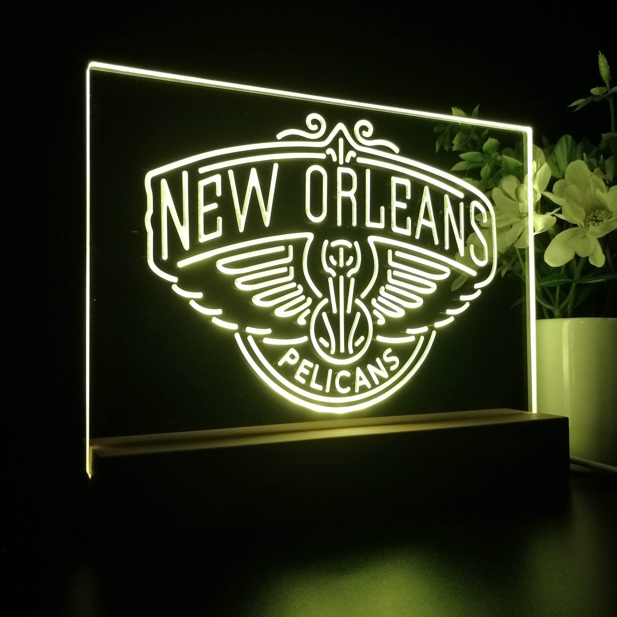 New Orleans Pelicans 3D LED Illusion Sport Team Night Light