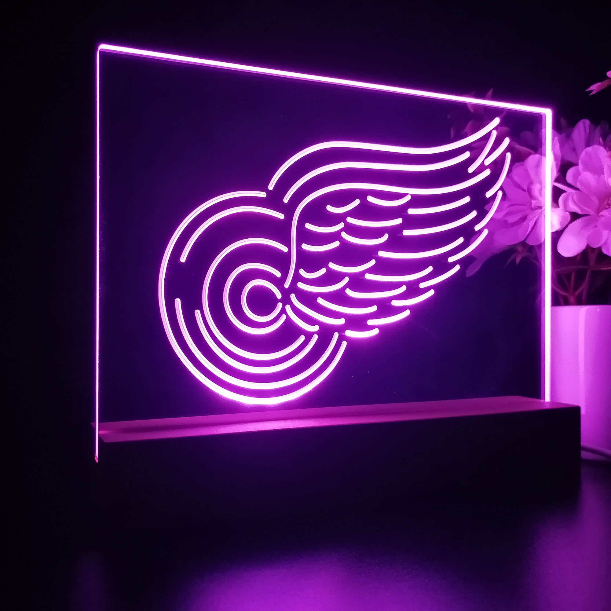 Detroit Sport Team Red Wings 3D LED Optical Illusion Sport Team Night Light