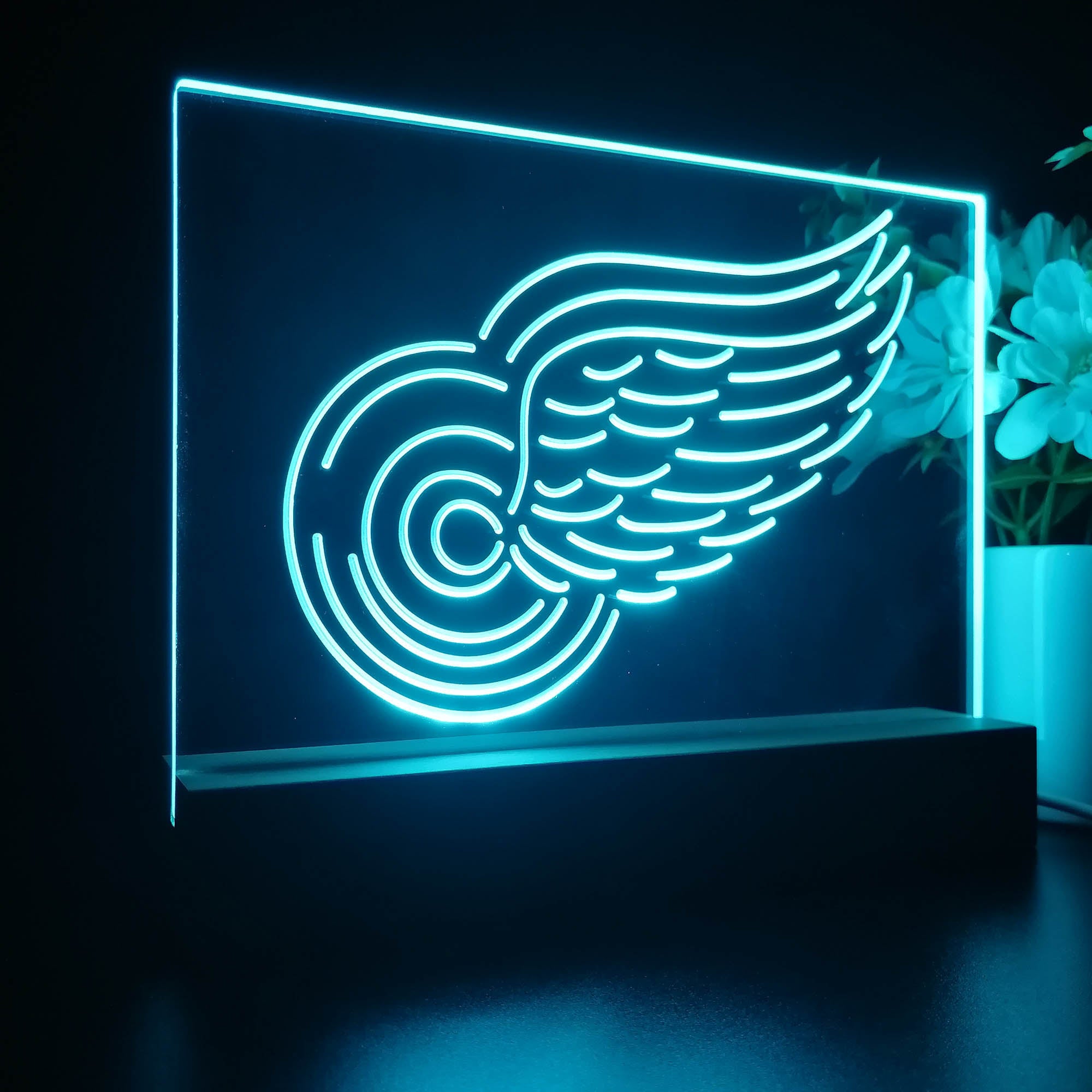 Detroit Sport Team Red Wings 3D LED Optical Illusion Sport Team Night Light