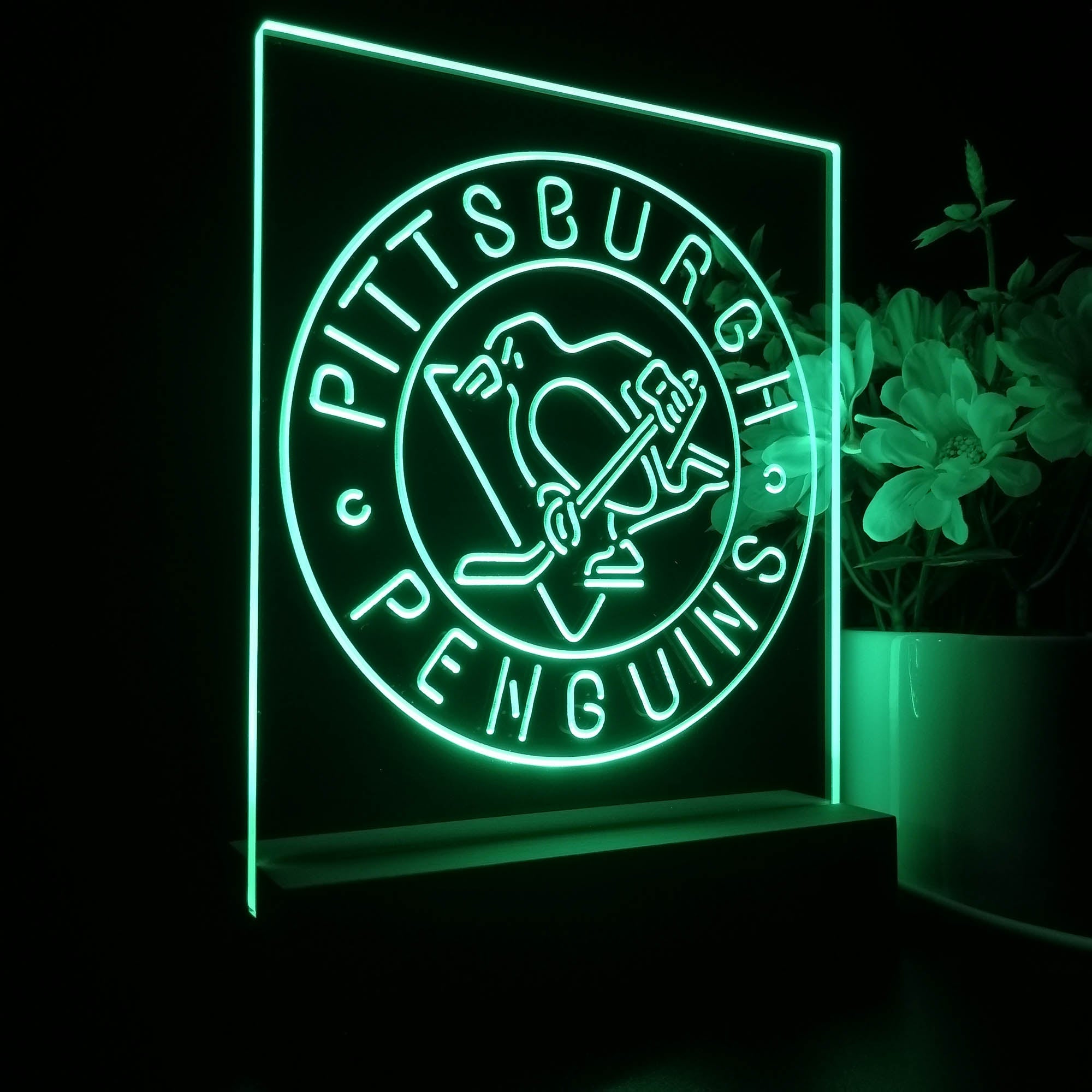 Pittsburgh Sport Team Penguins 3D LED Illusion Sport Team Night Light