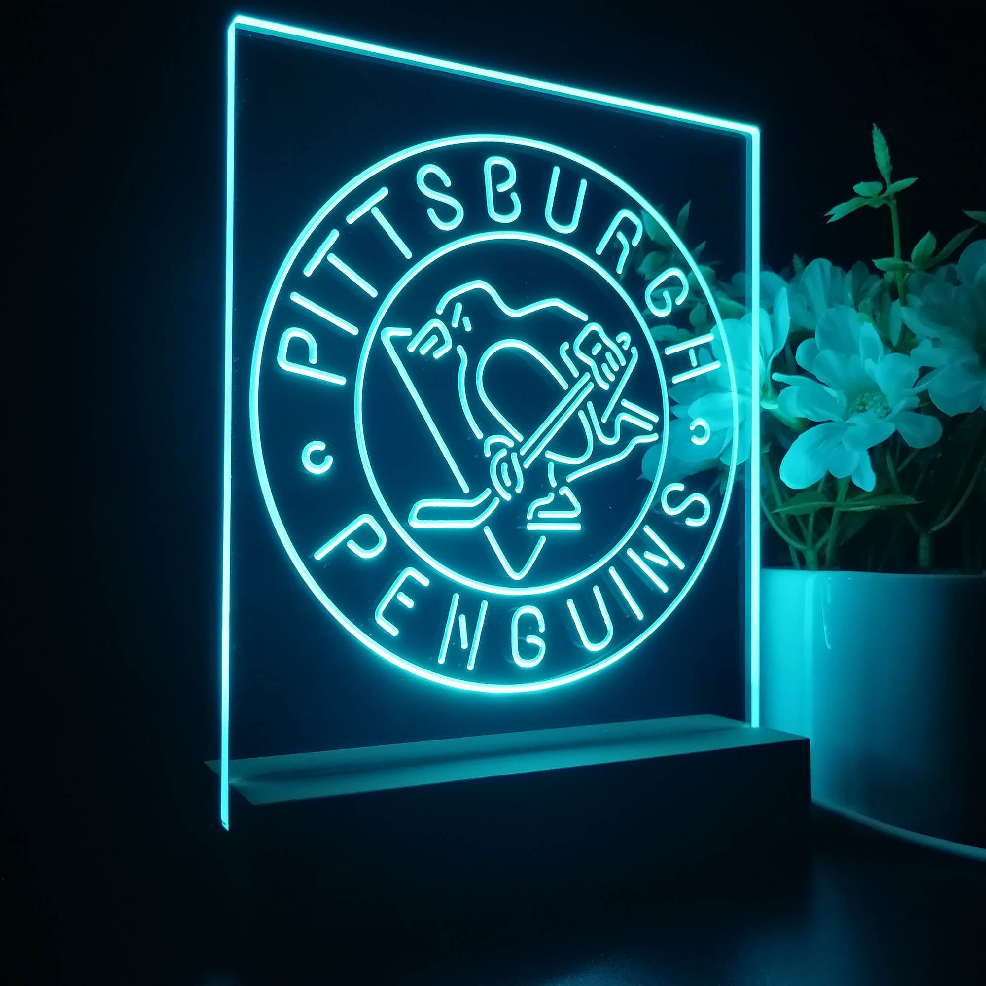 Pittsburgh Sport Team Penguins 3D LED Illusion Sport Team Night Light