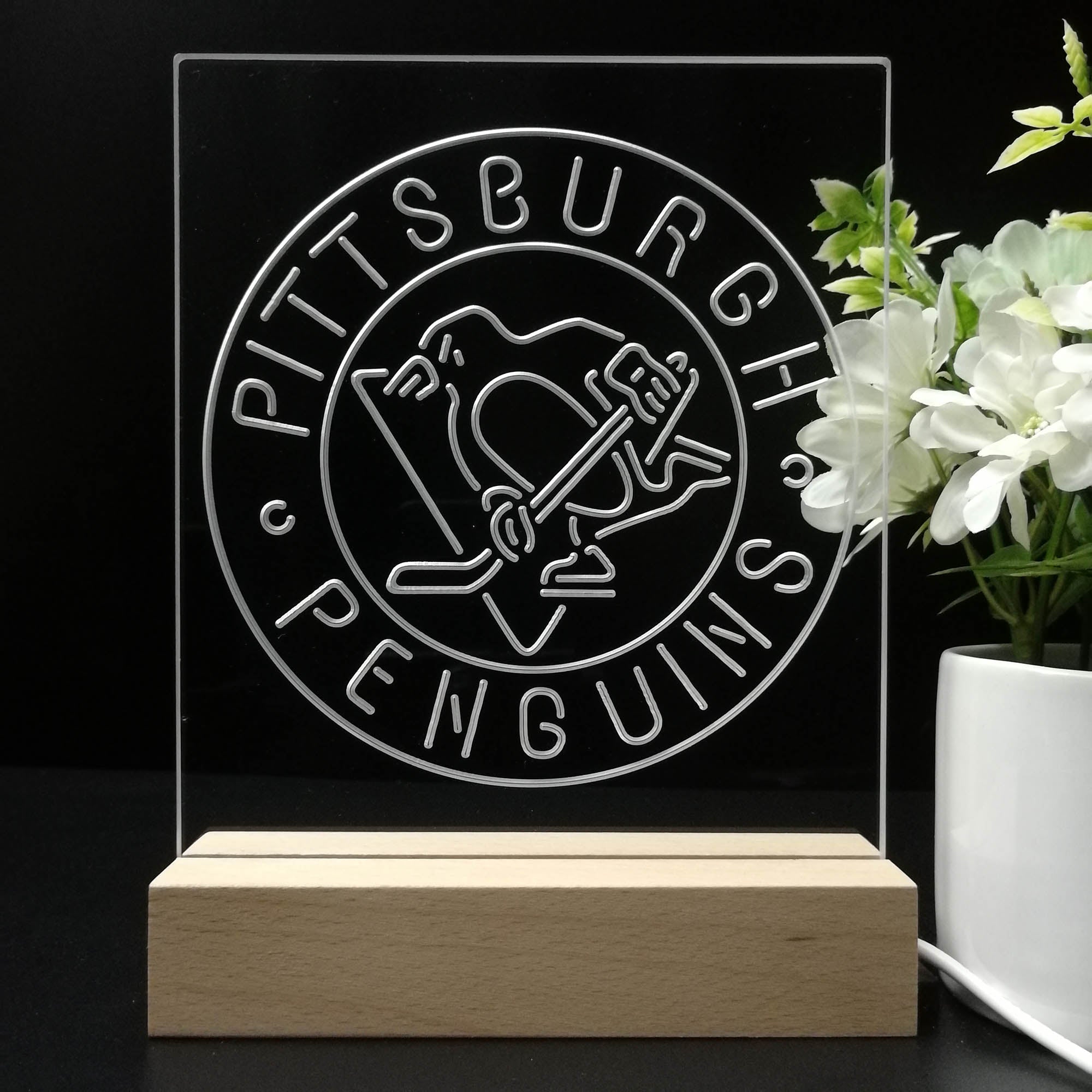 Pittsburgh Sport Team Penguins 3D LED Illusion Sport Team Night Light