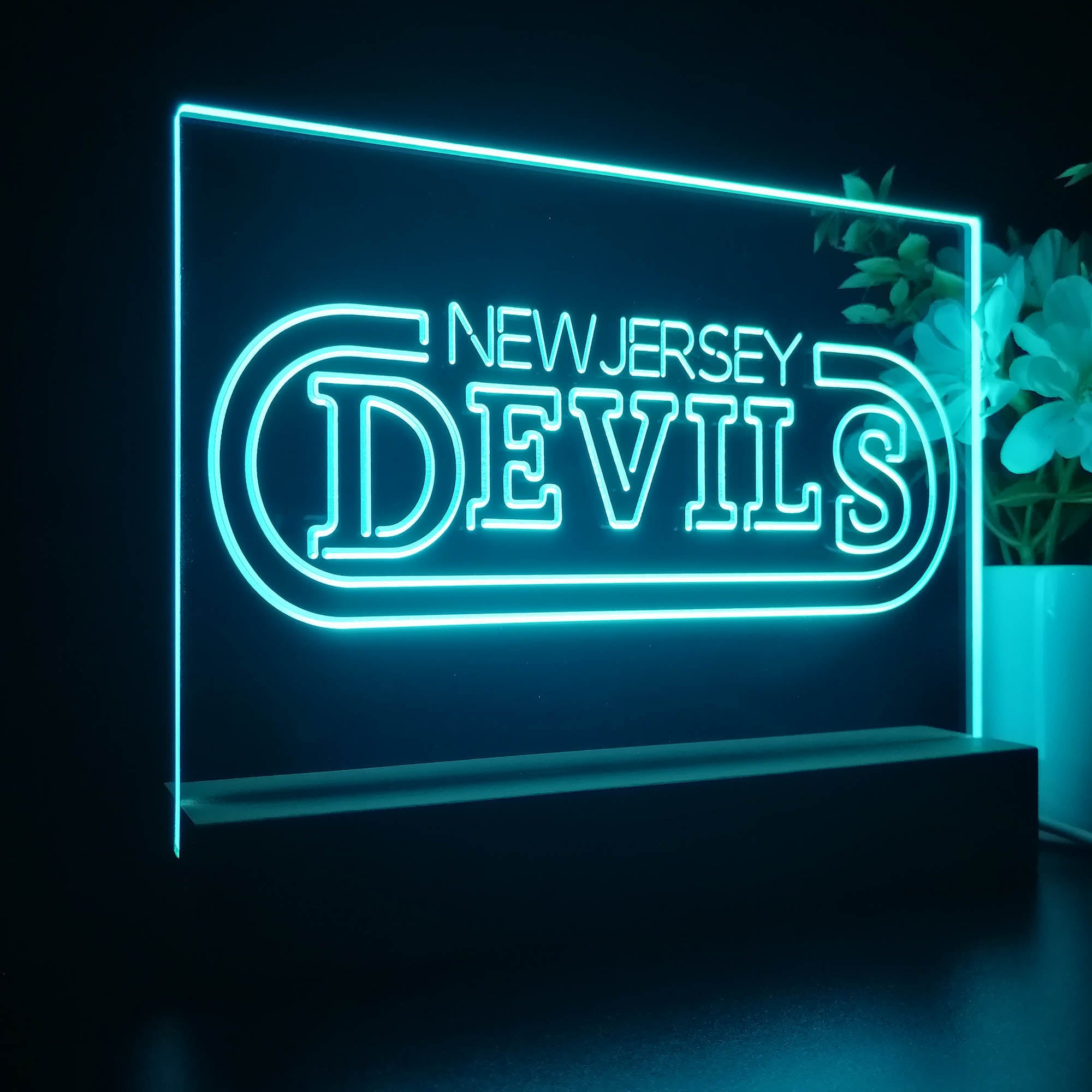 New Jersey Sport Team Devils 3D LED Optical Illusion Sport Team Night Light