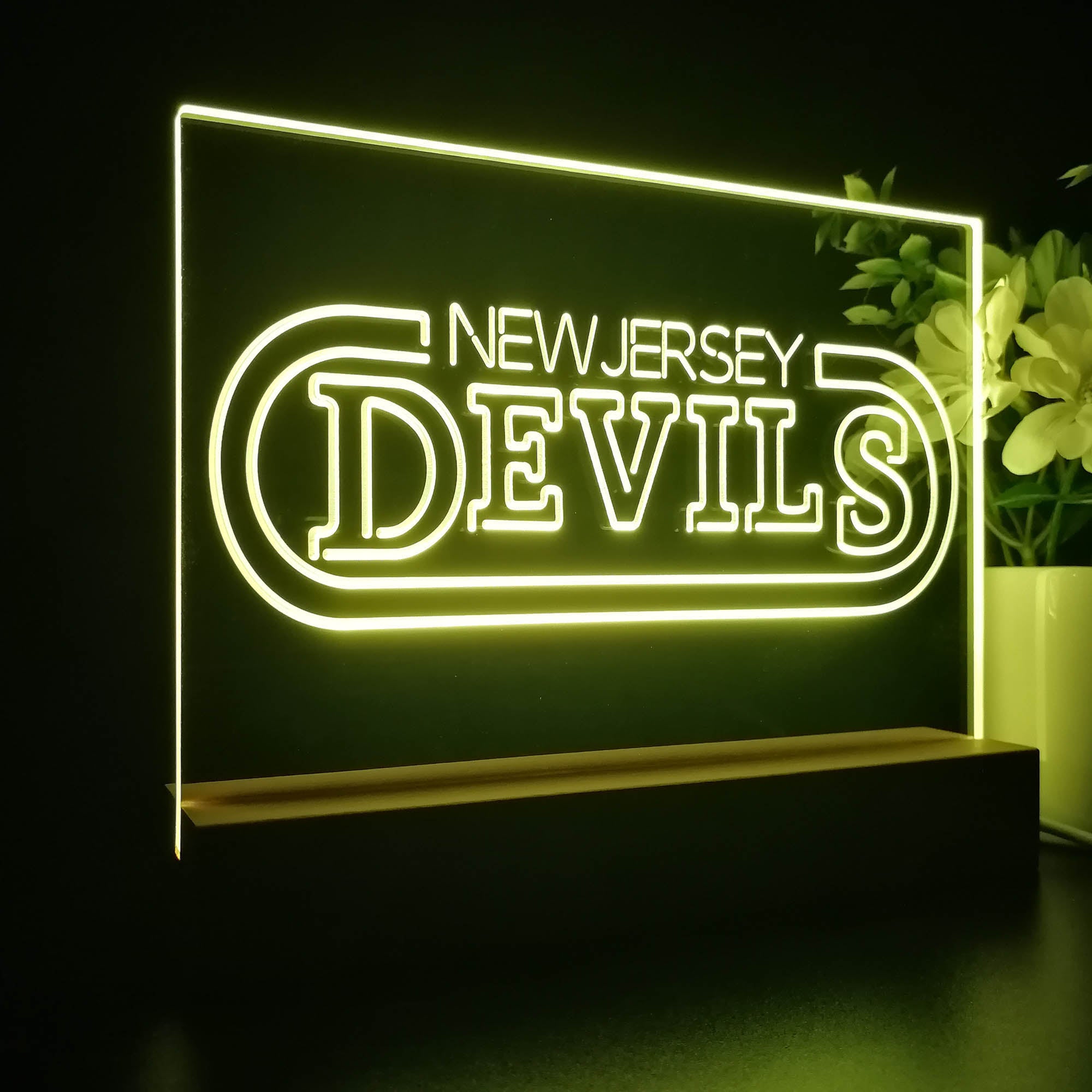 New Jersey Sport Team Devils 3D LED Illusion Sport Team Night Light