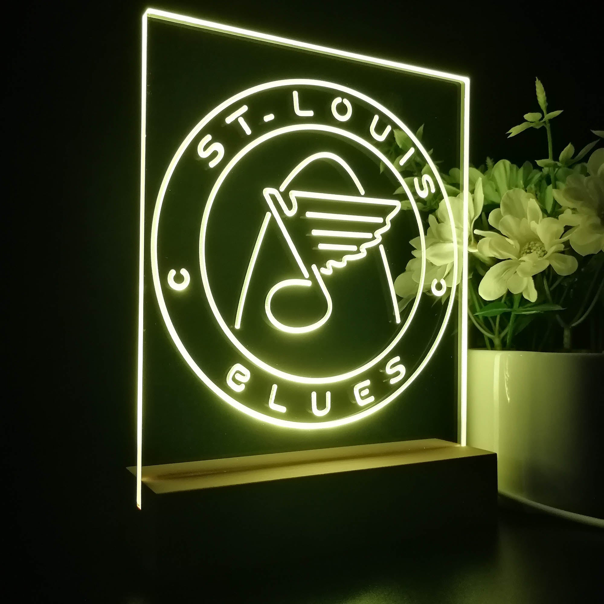 St Louis Sport Team Blues 3D LED Illusion Sport Team Night Light