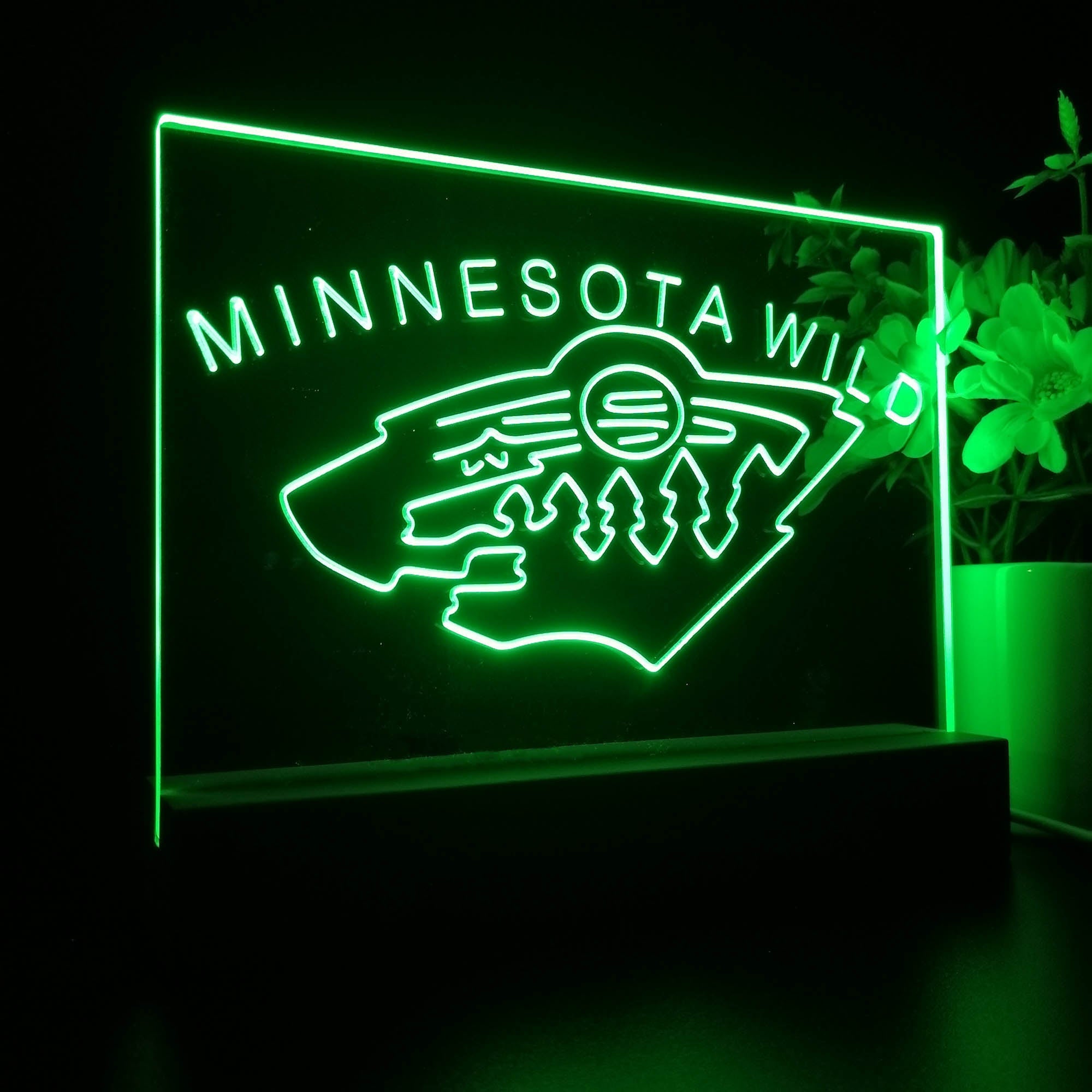 Minnesota Sport Team Wild 3D LED Optical Illusion Sport Team Night Light