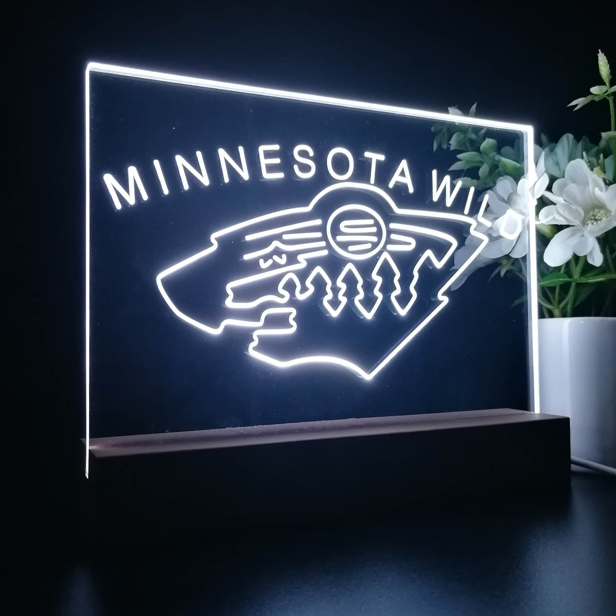Minnesota Sport Team Wild 3D LED Optical Illusion Sport Team Night Light