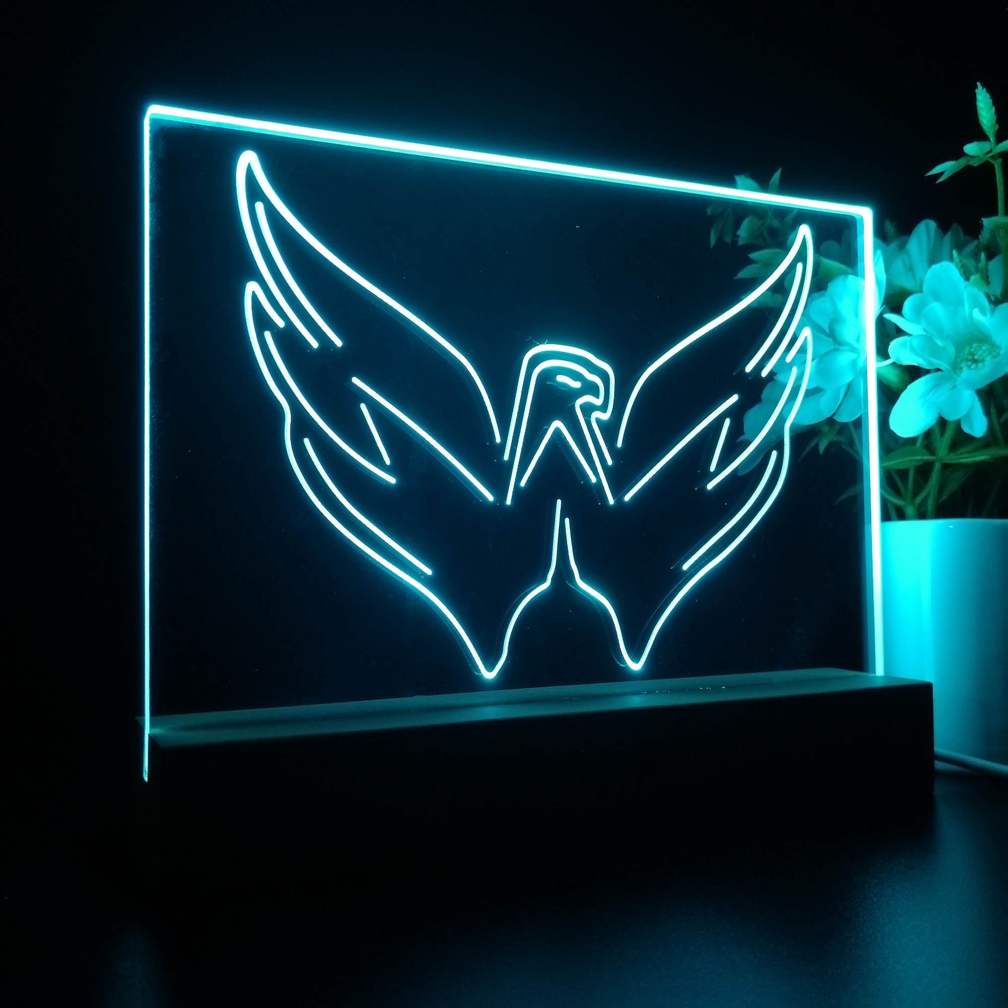 Washington Sport Team Capitals 3D LED Illusion Sport Team Night Light