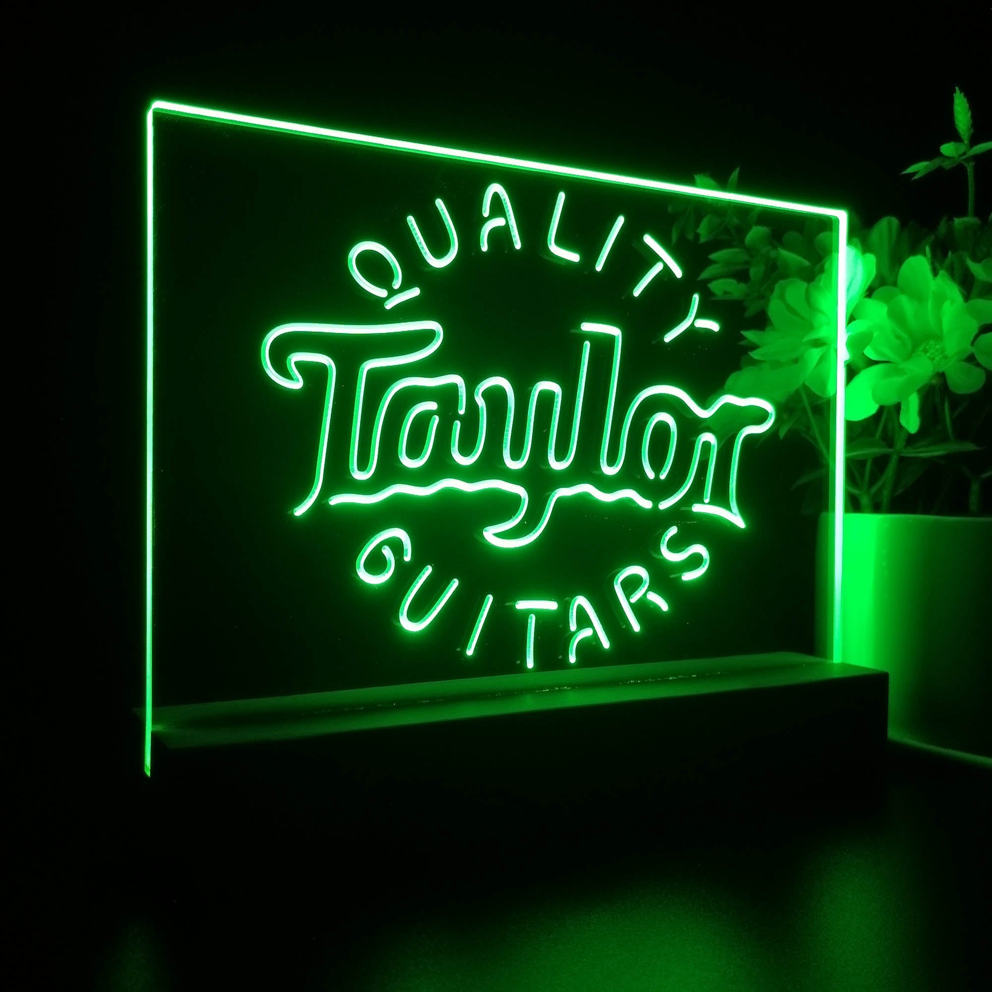 Taylor Guitar Music 3D LED Illusion Night Light