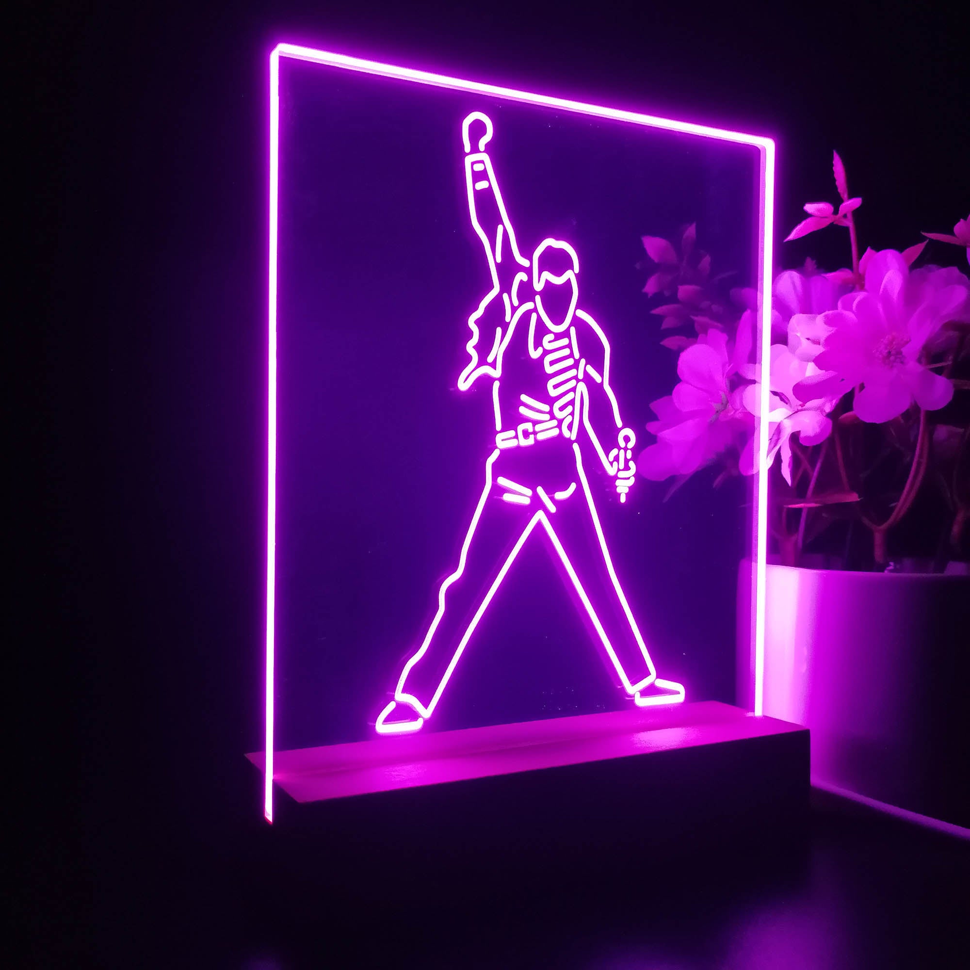 Freddie Mercury 3D LED Illusion Night Light