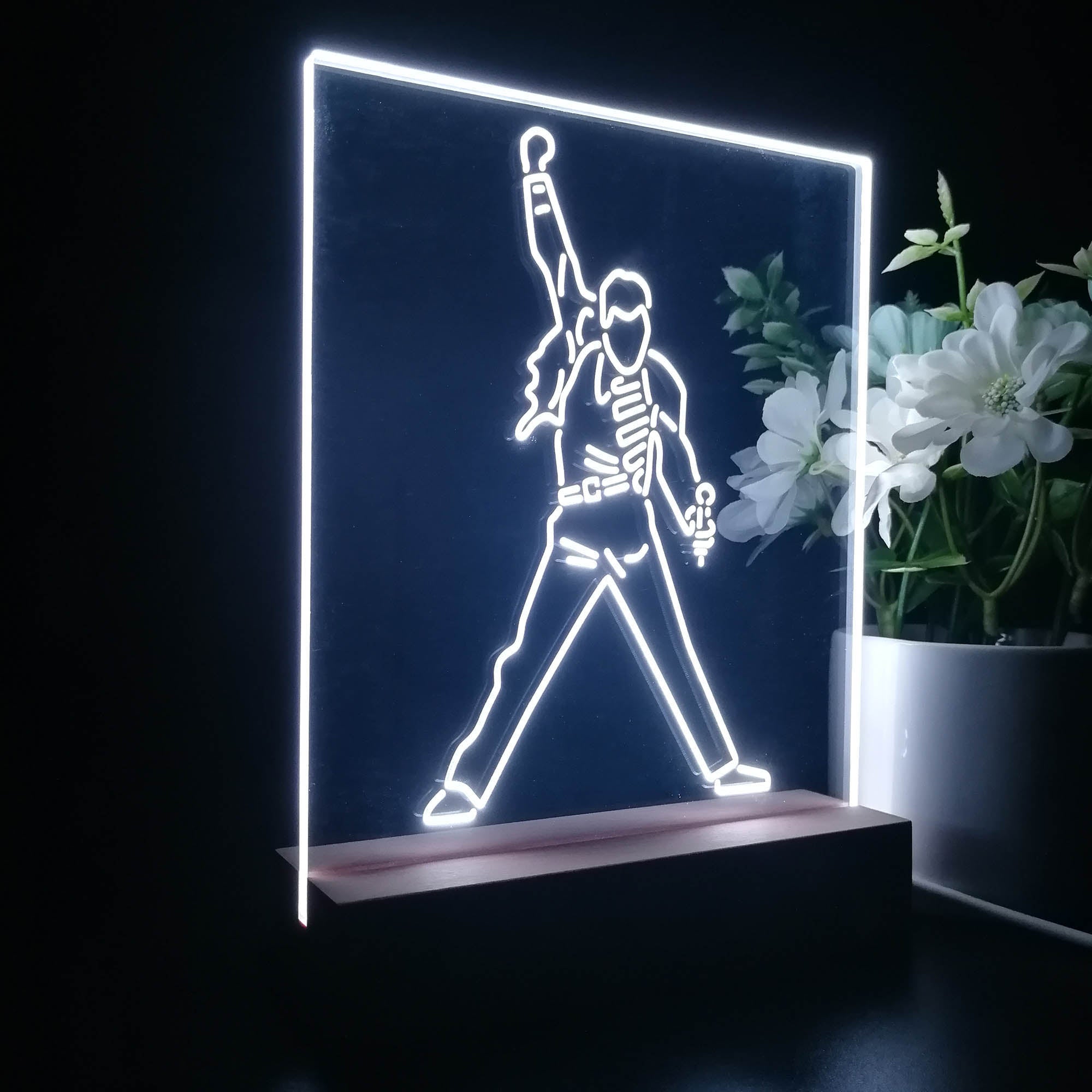 Freddie Mercury 3D LED Illusion Night Light