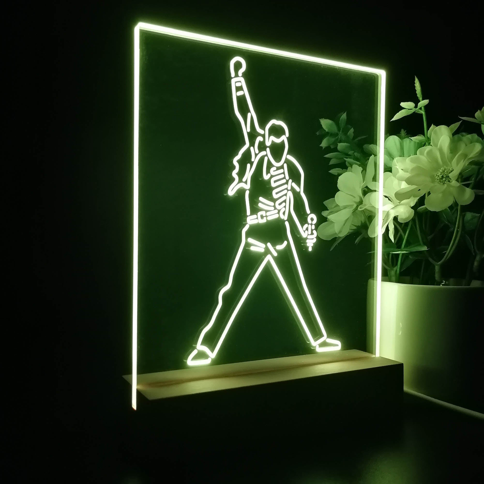 Freddie Mercury 3D LED Illusion Night Light