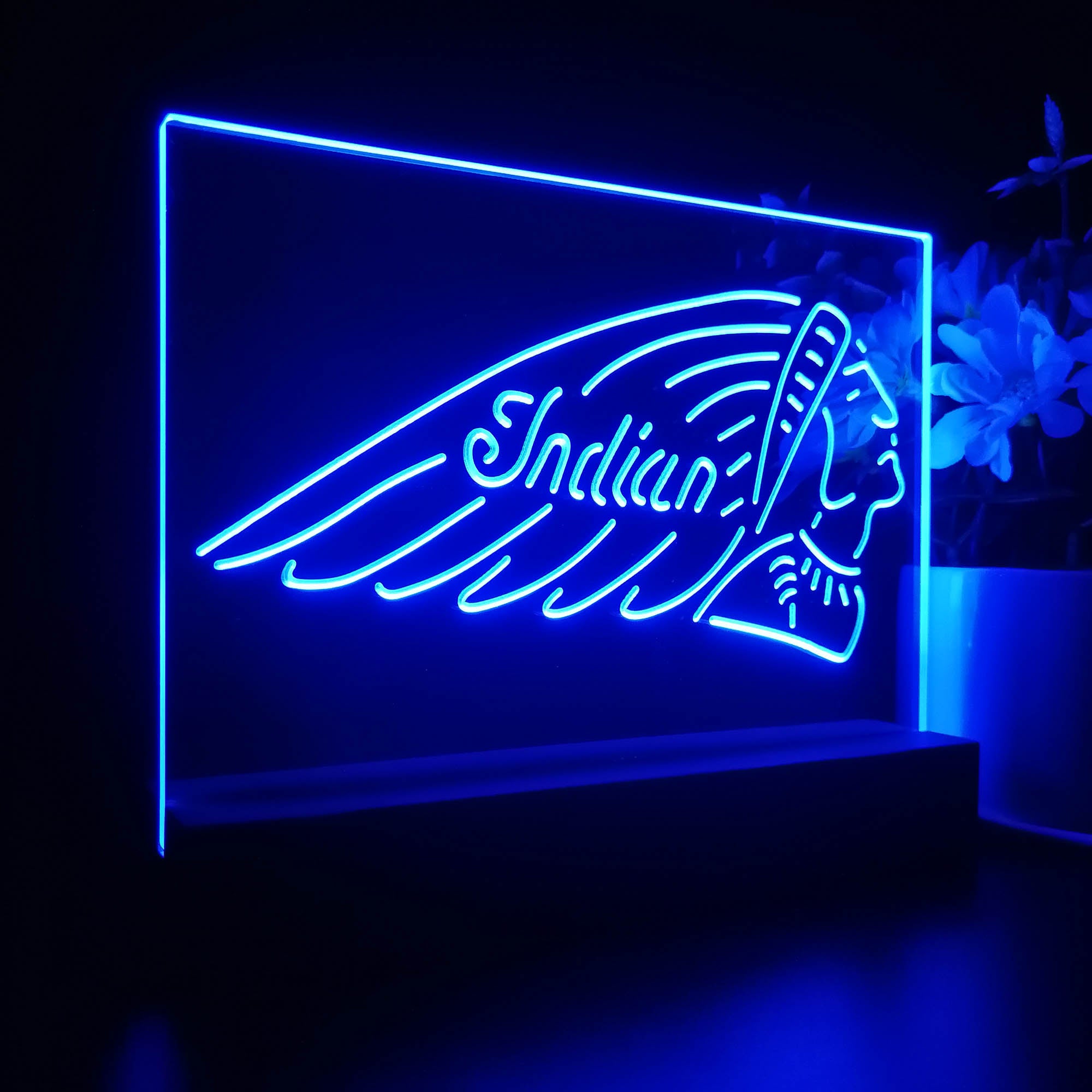 Indian Motorcycle Club 3D LED Illusion Night Light