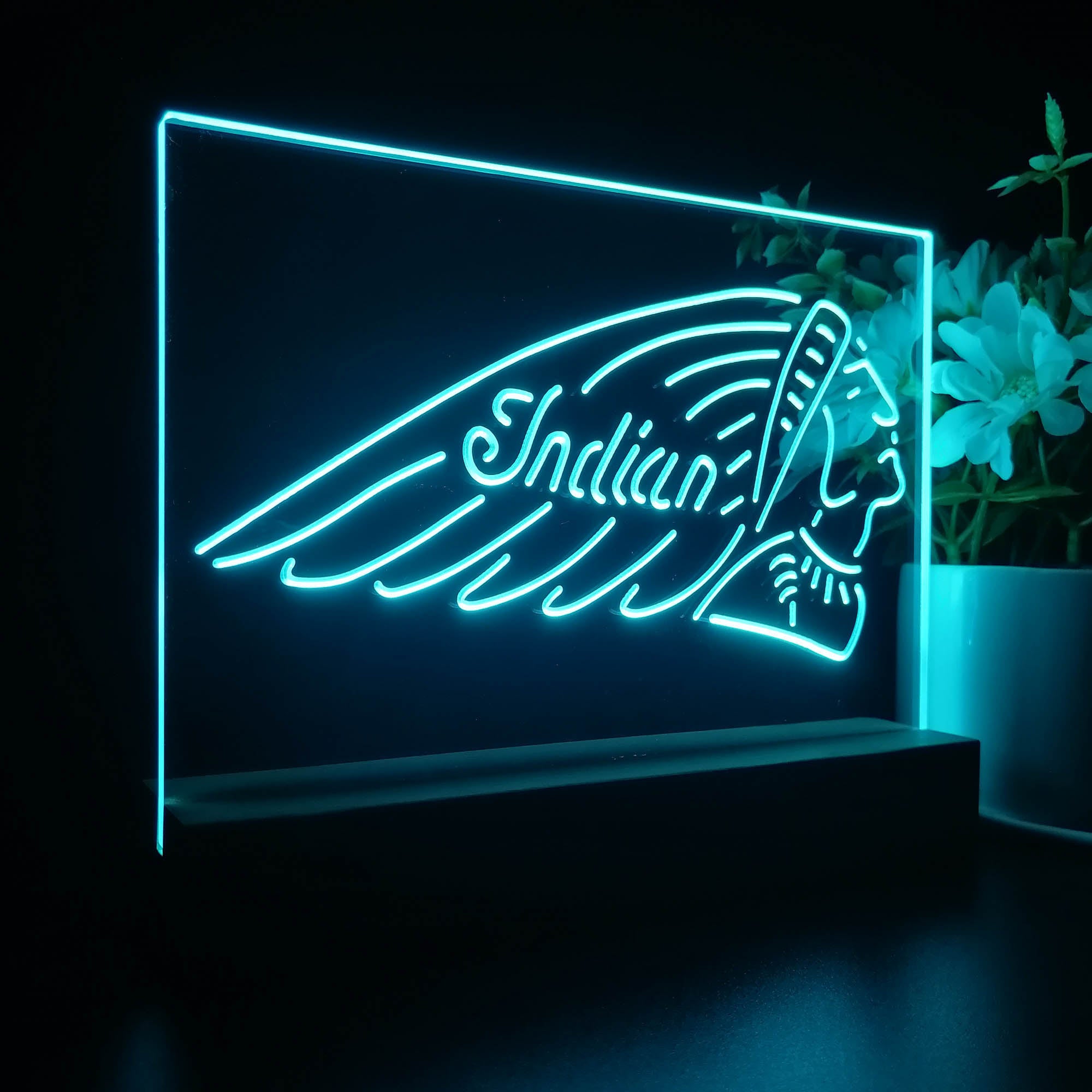 Indian Motorcycle Club 3D LED Illusion Night Light